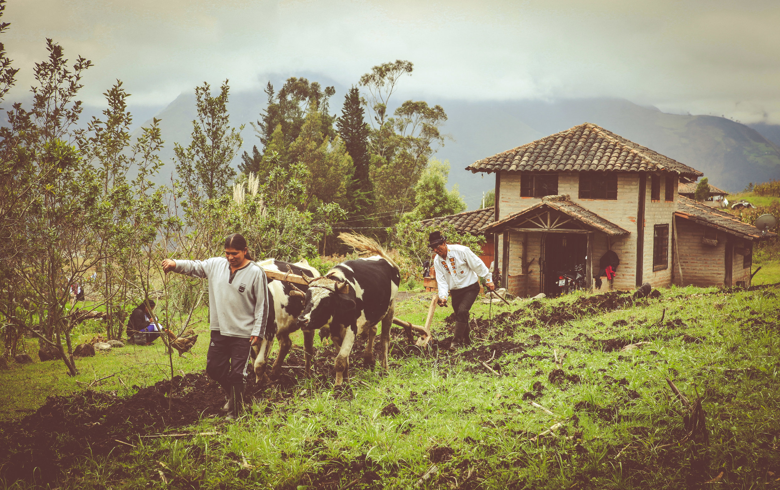 Ecuador-490.jpg
