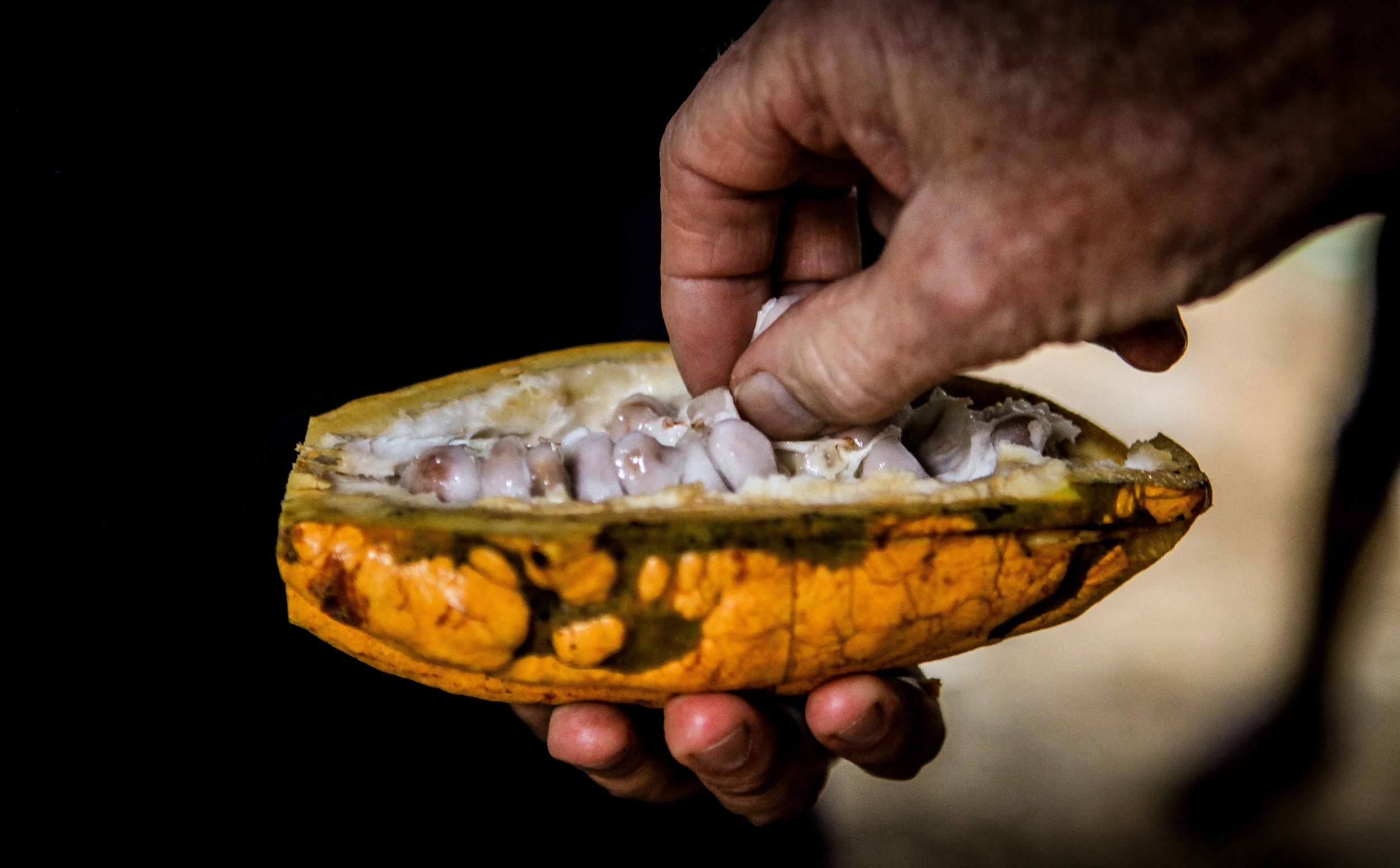 Ecuador-59.jpg