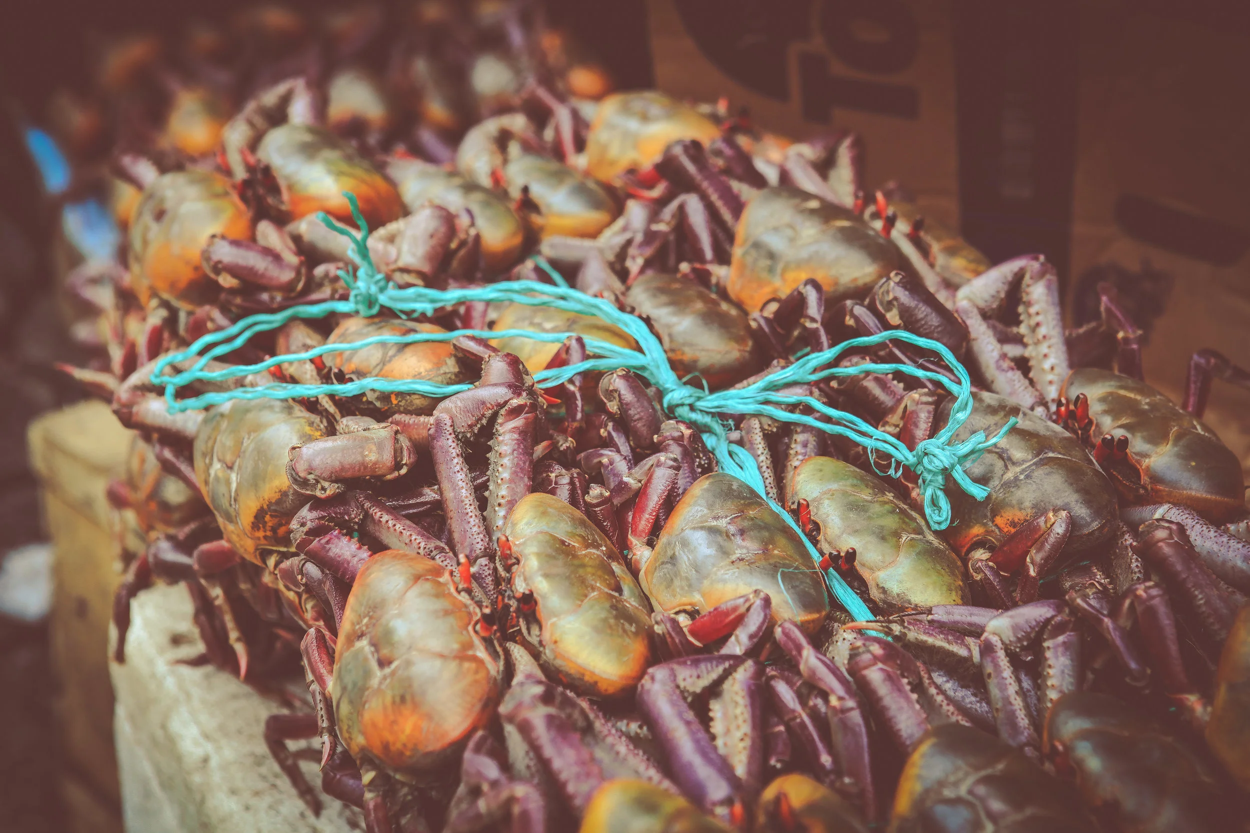 Ecuador-557.jpg