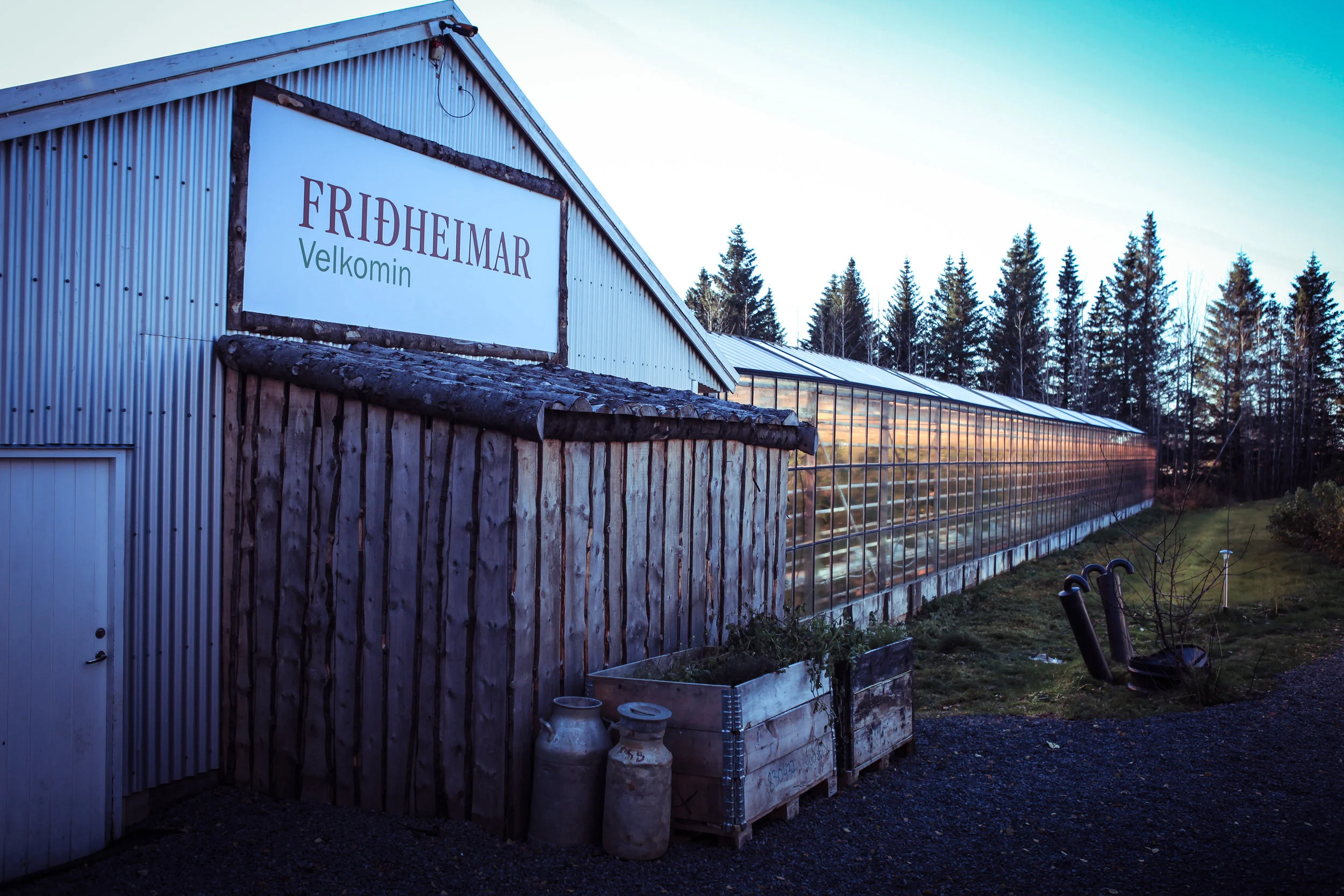 icelandfav-19.jpg