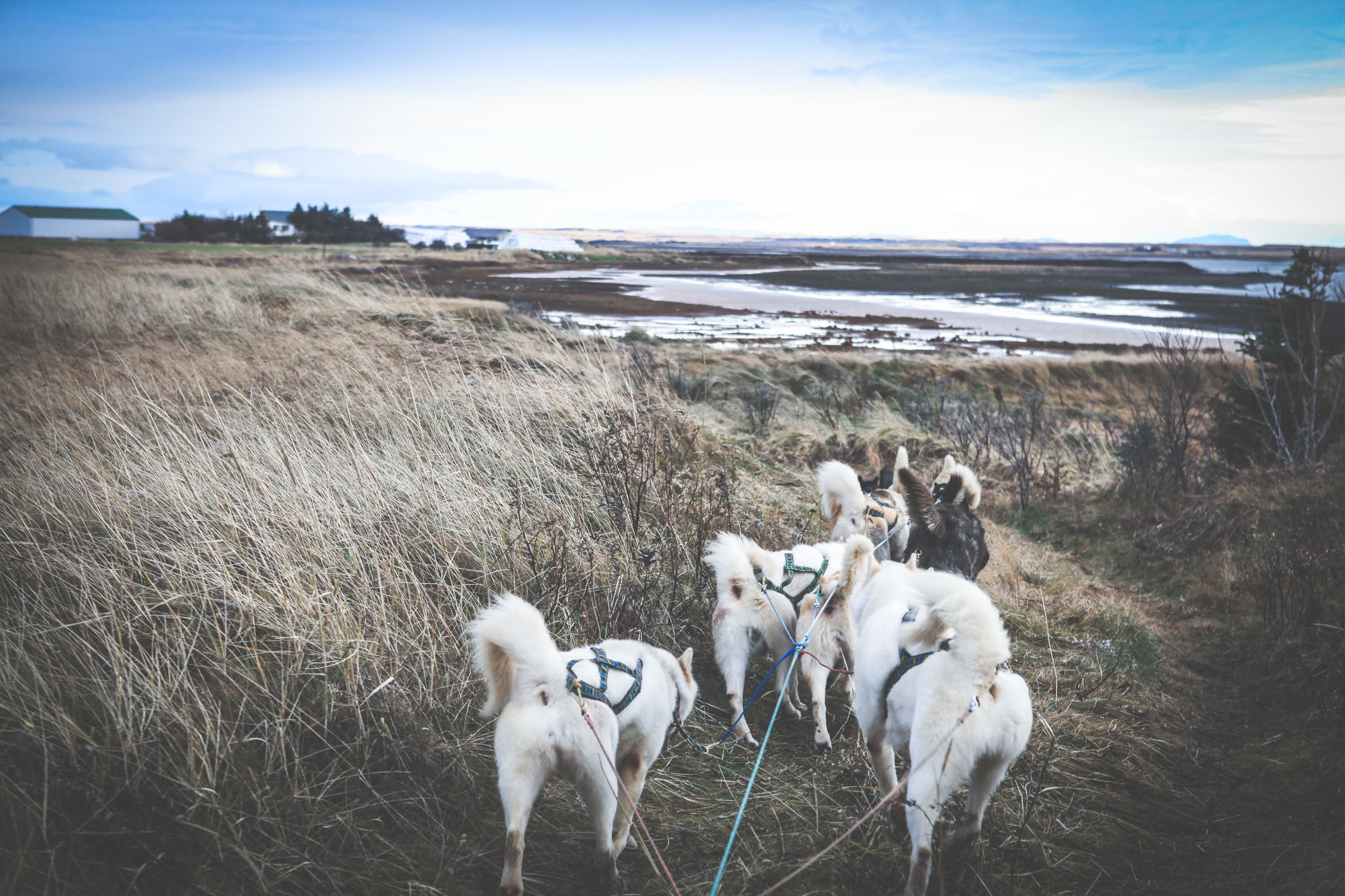 icelandfav-60.jpg