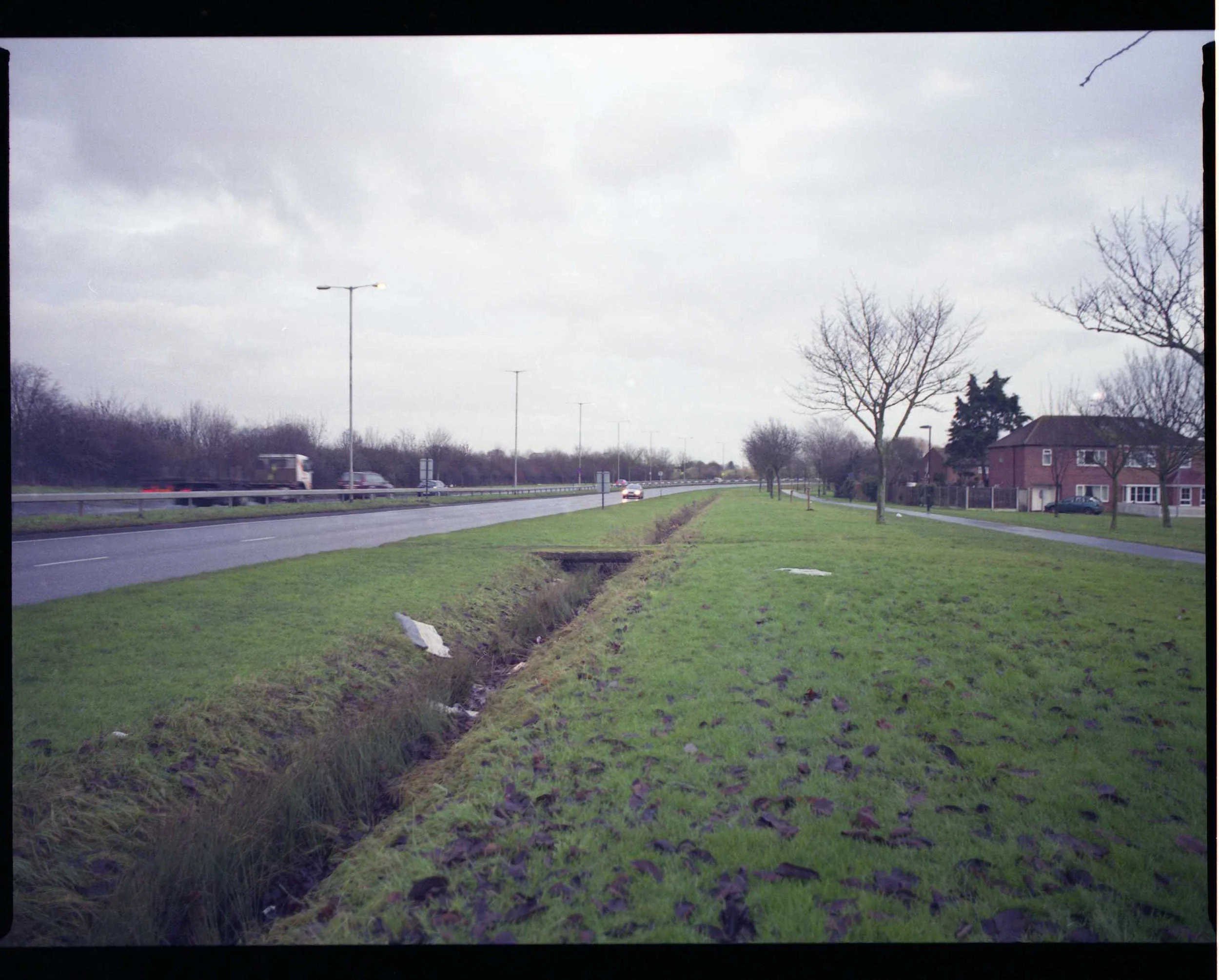 landscape- img021.jpg