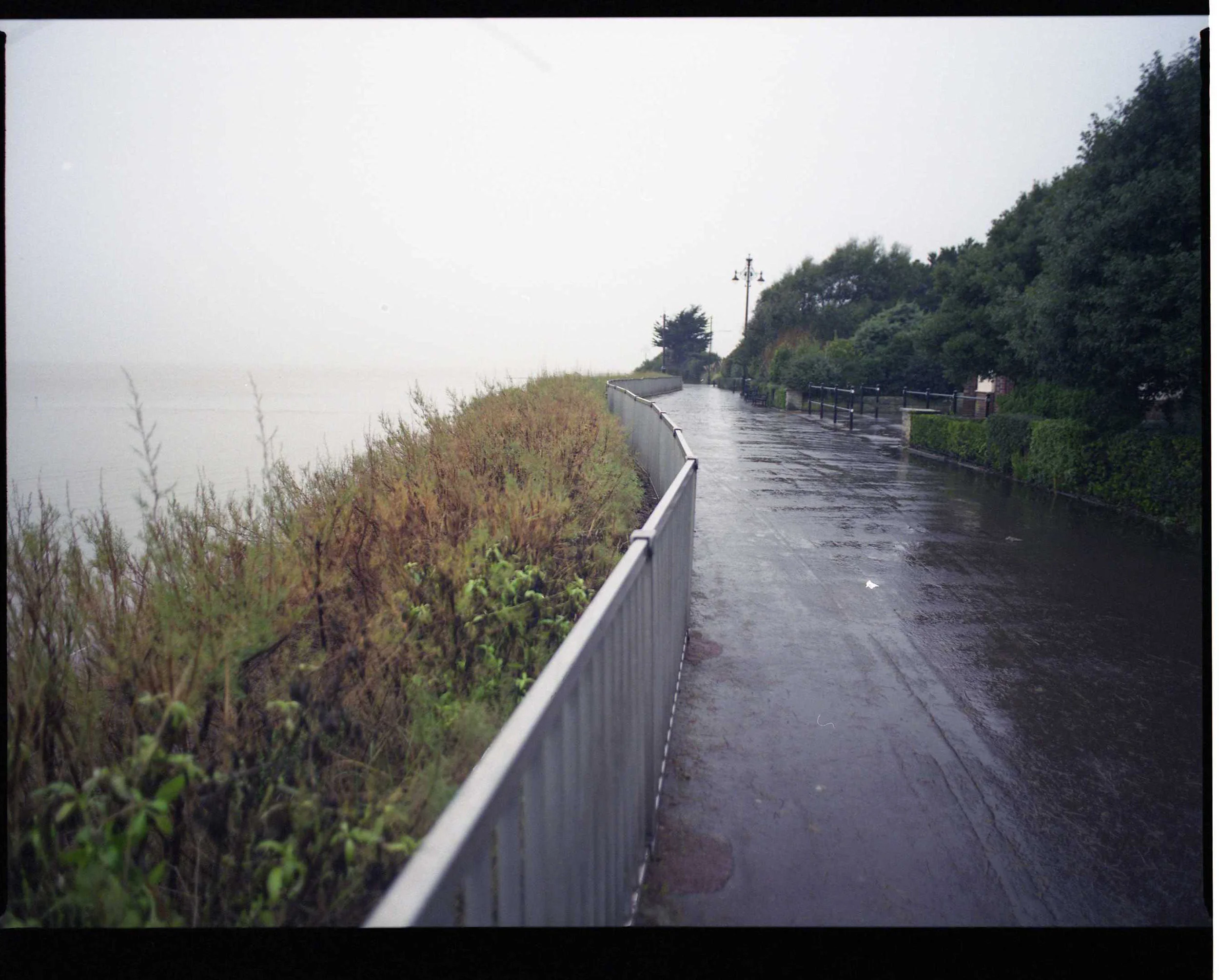 landscape- img095.jpg