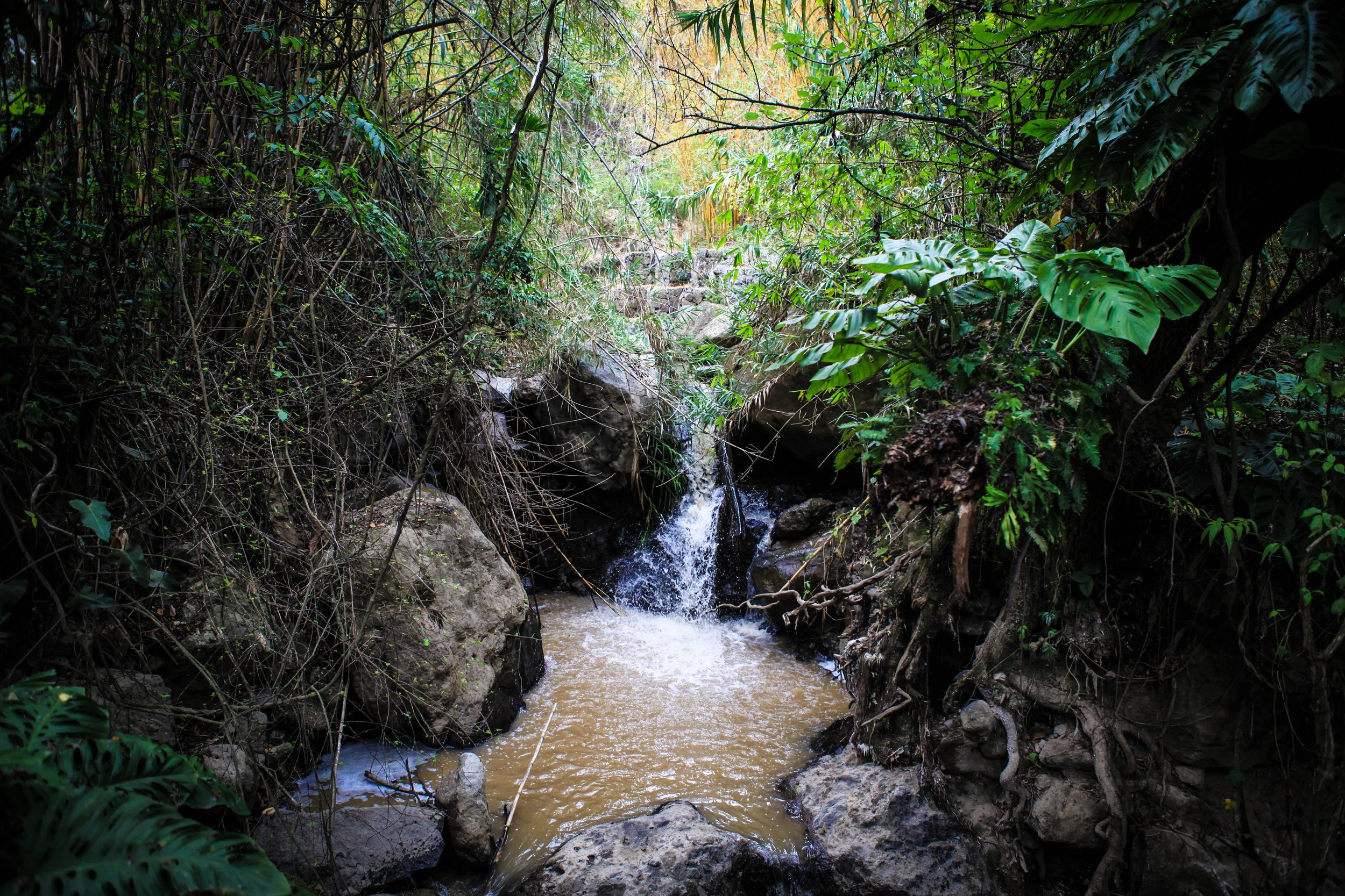 Mexico - Guatamala 2015-394.jpg