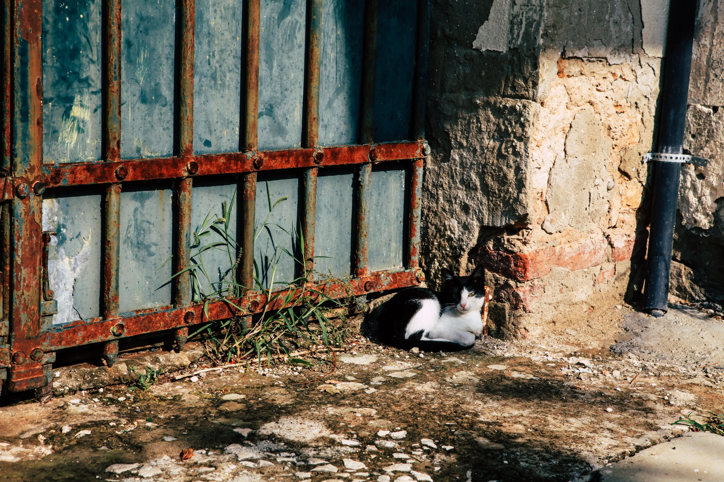 Croatia (17 of 534).jpg