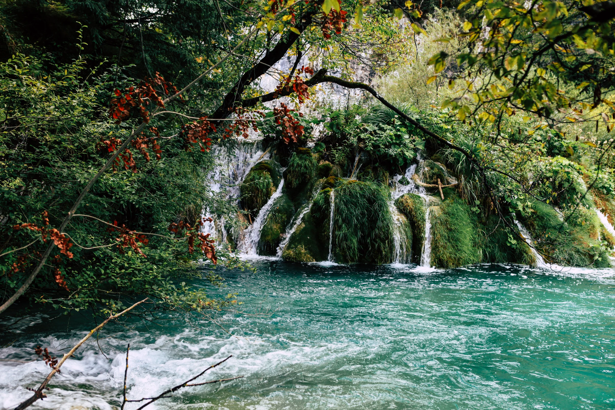 Croatia (527 of 534).jpg