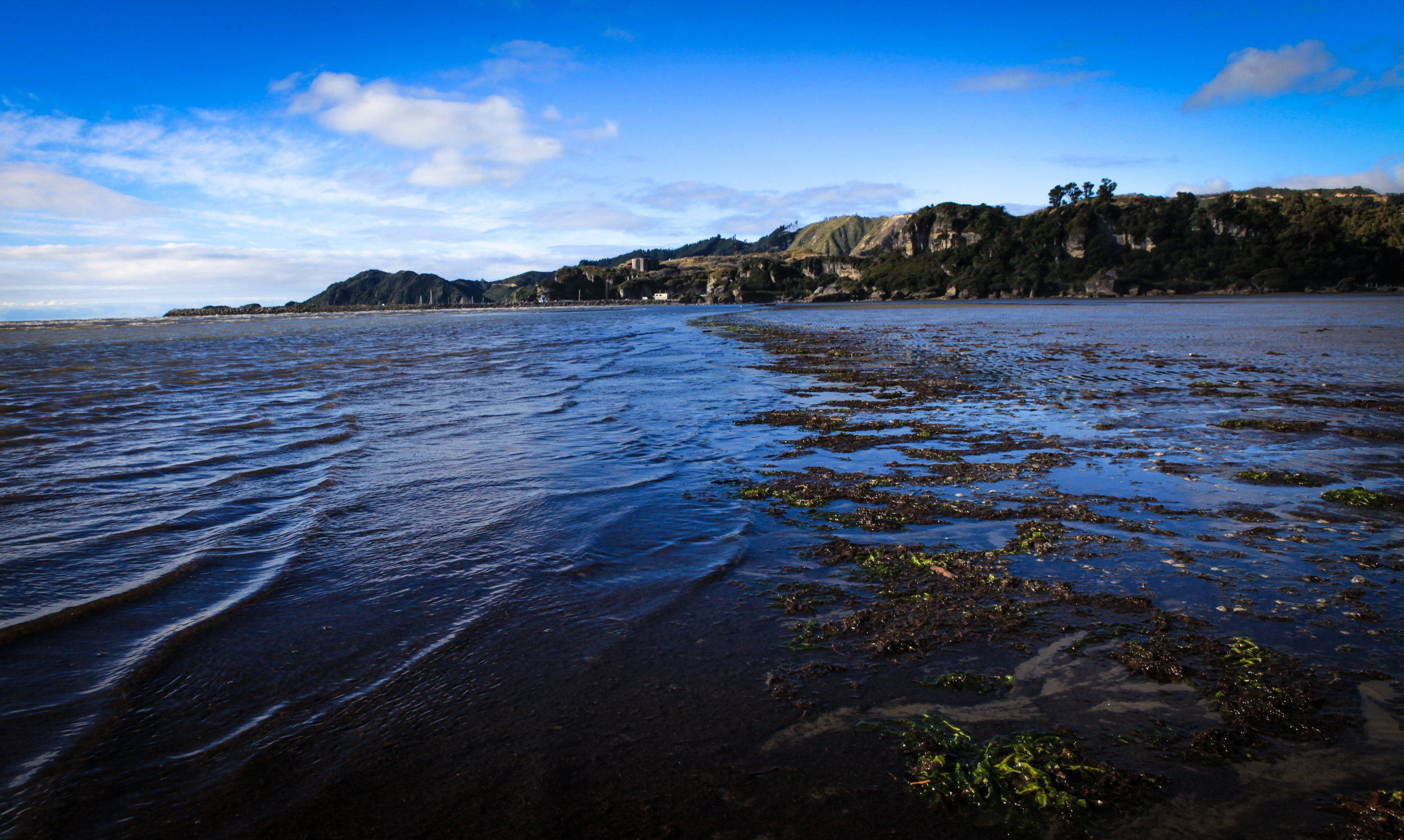 NewZealand_web-33.jpg