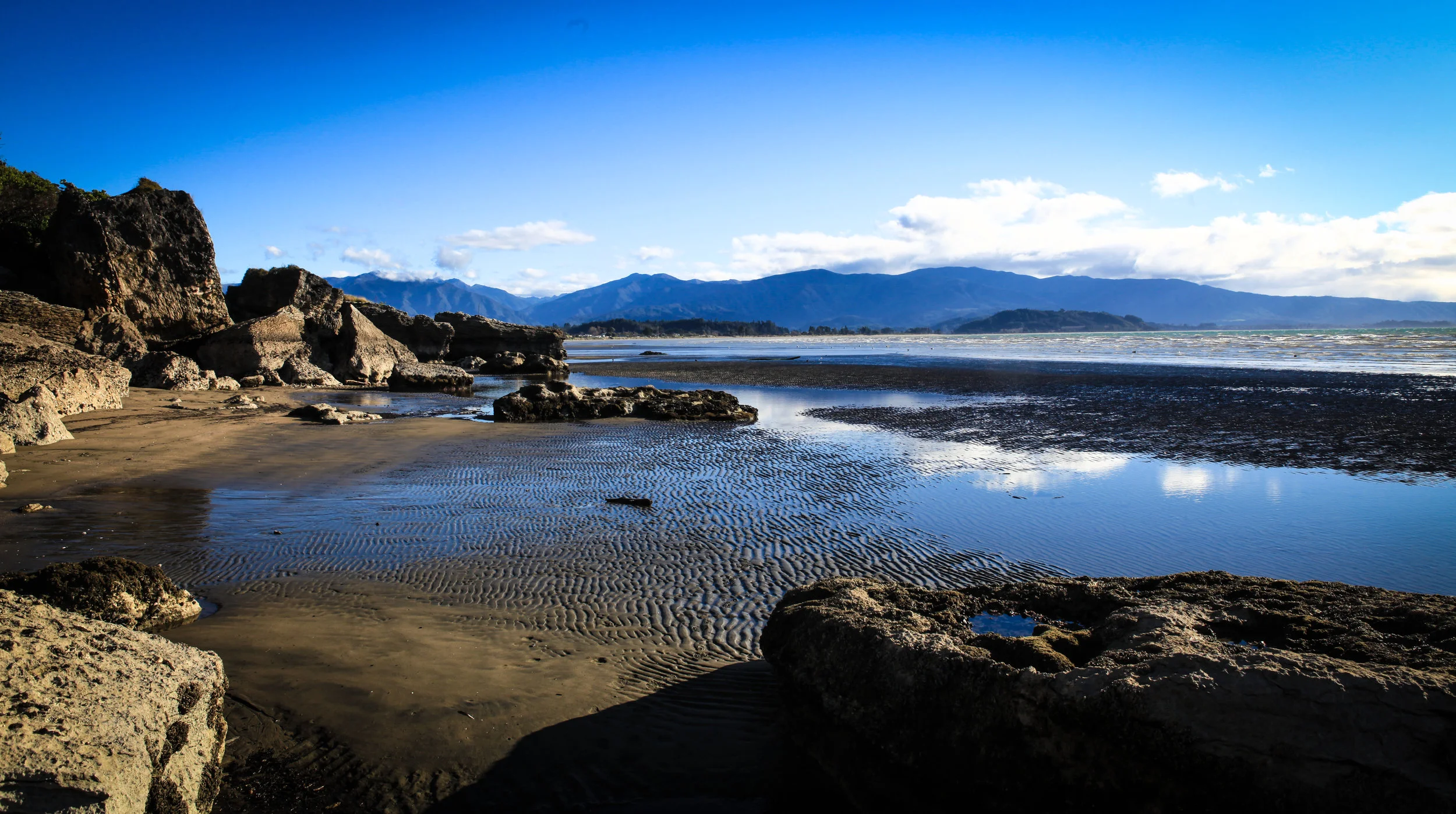 NewZealand_web-48.jpg