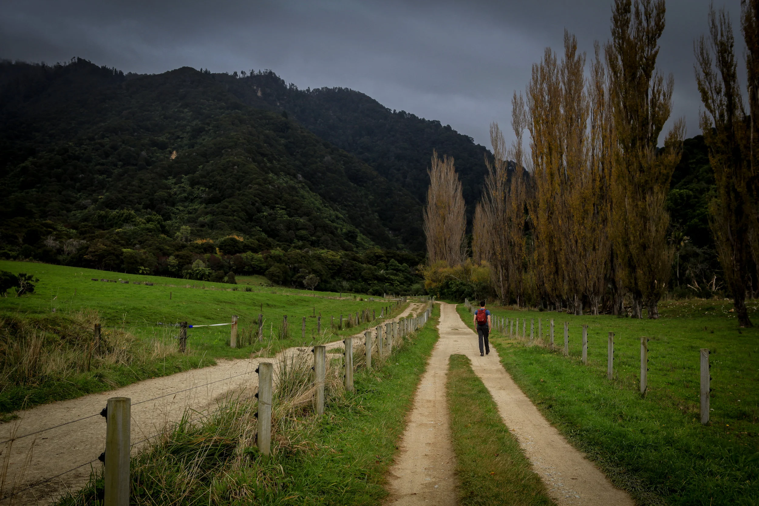 NewZealand_web-57.jpg