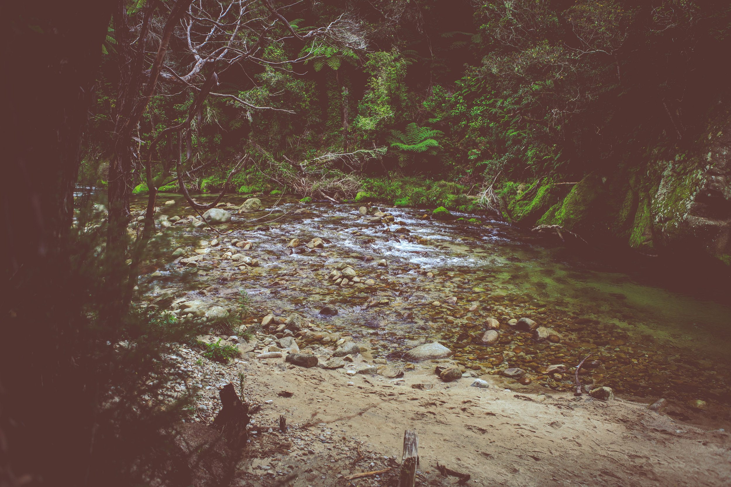 NewZealand_web-58.jpg