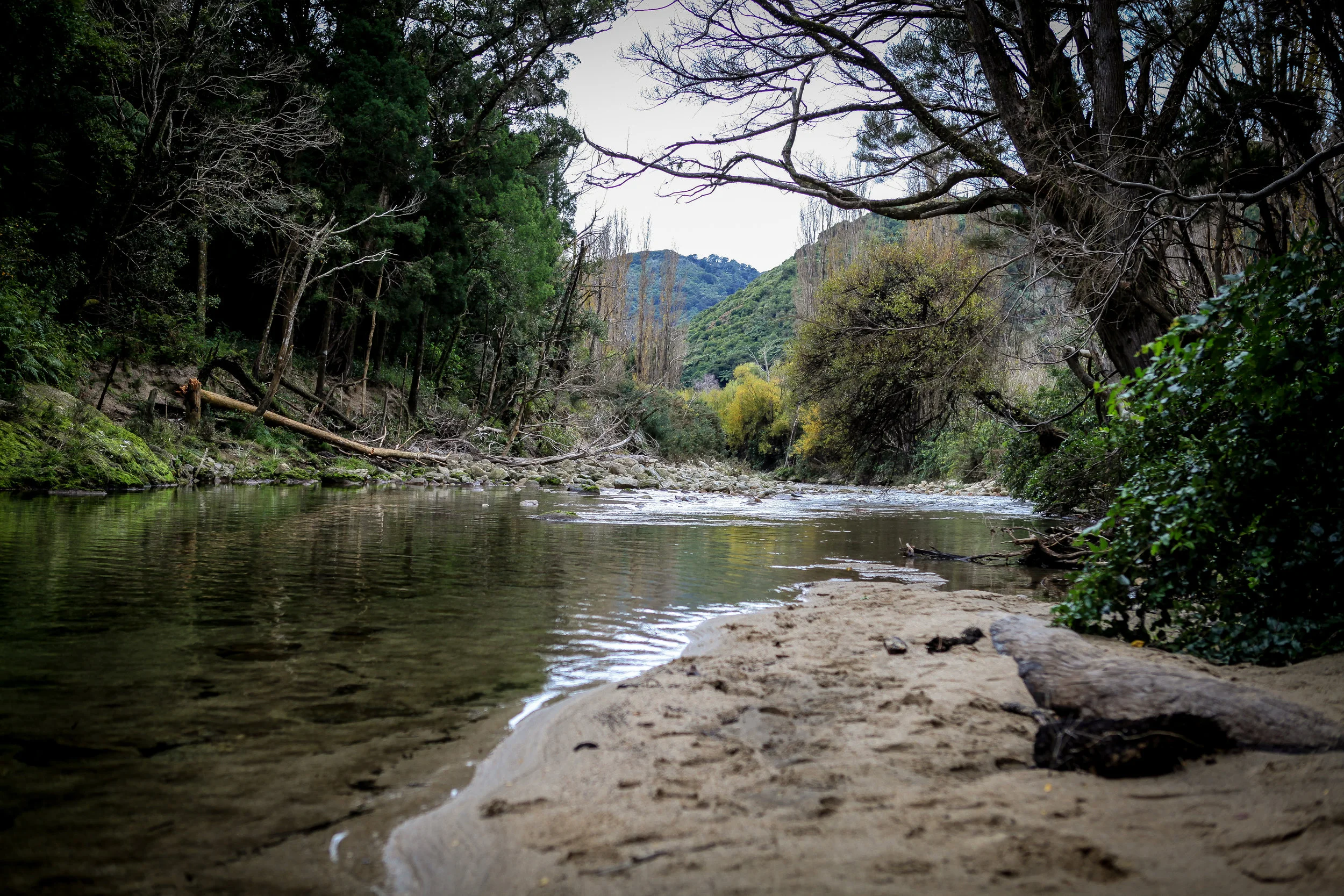 NewZealand_web-64.jpg