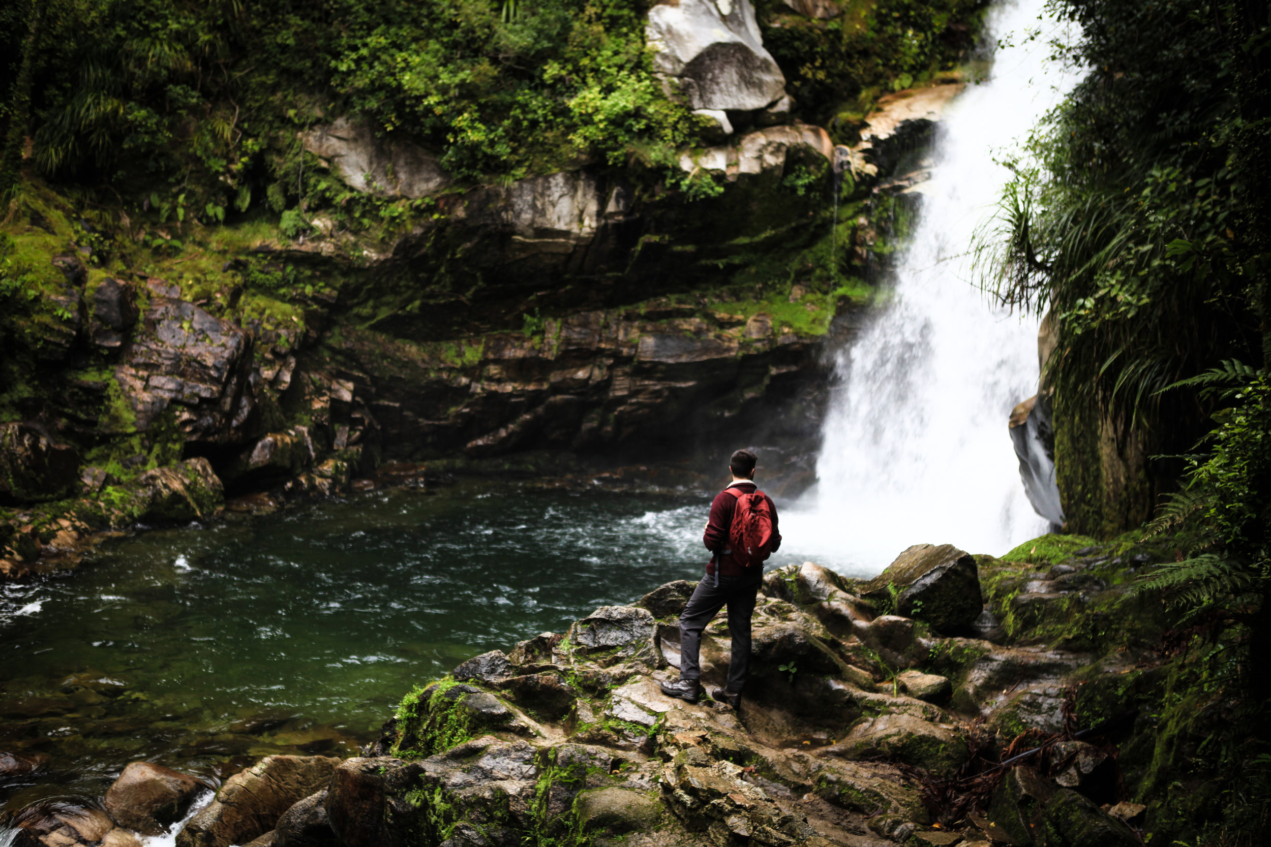 NewZealand_web-80.jpg