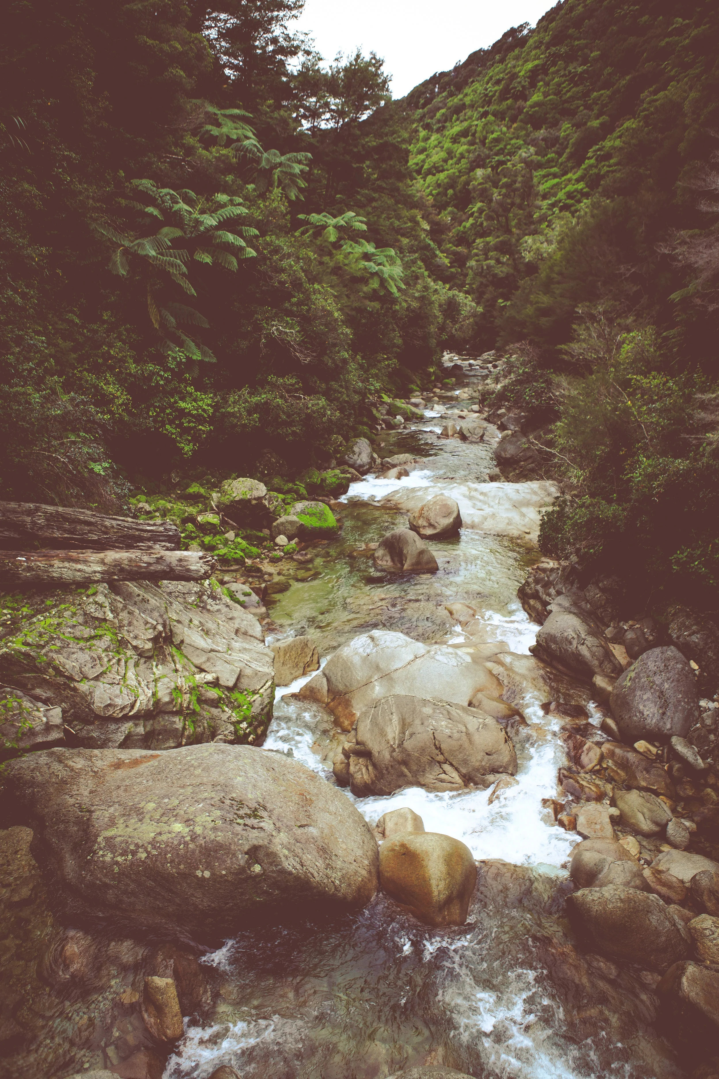 NewZealand_web-78.jpg