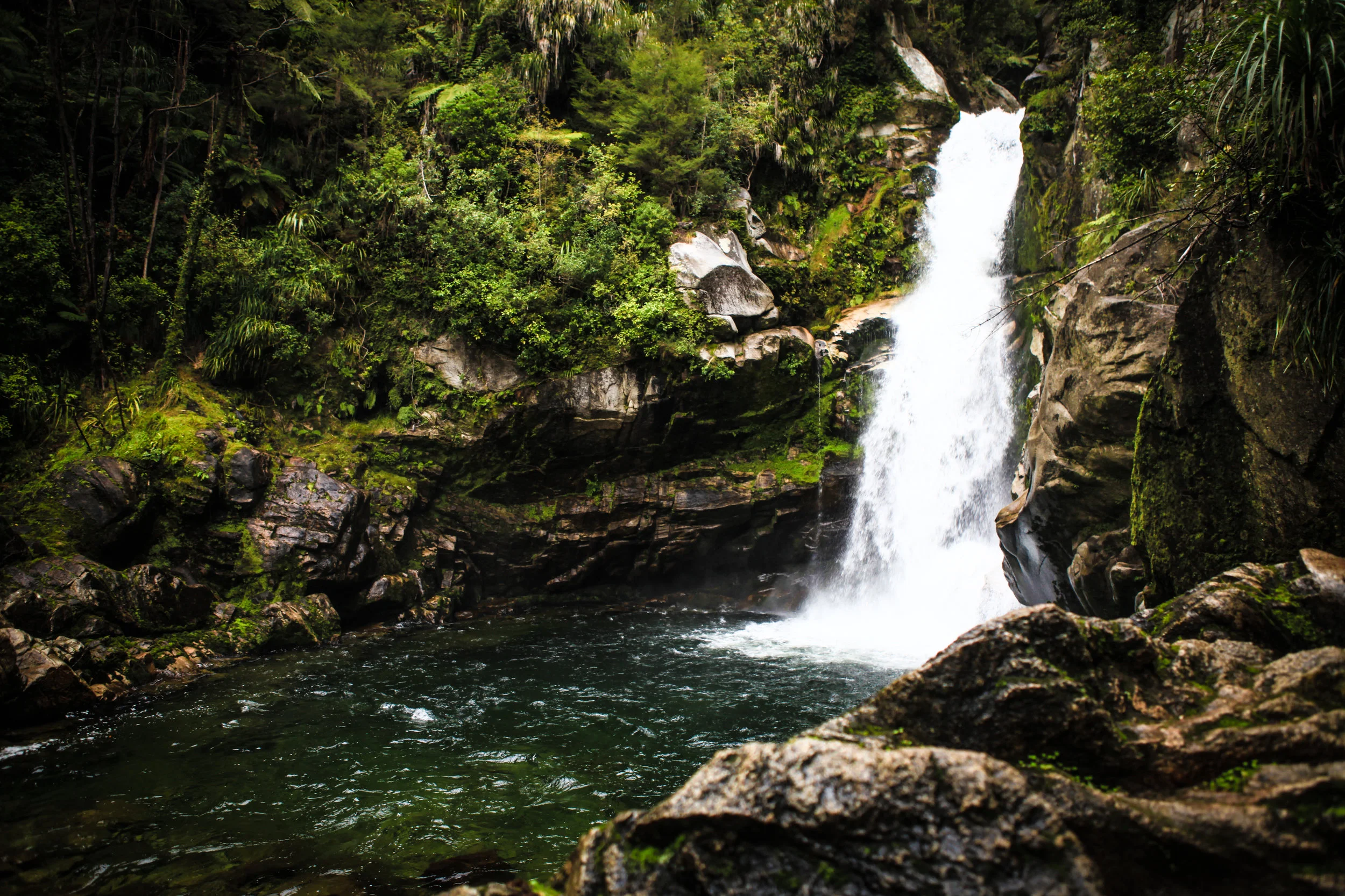NewZealand_web-82.jpg