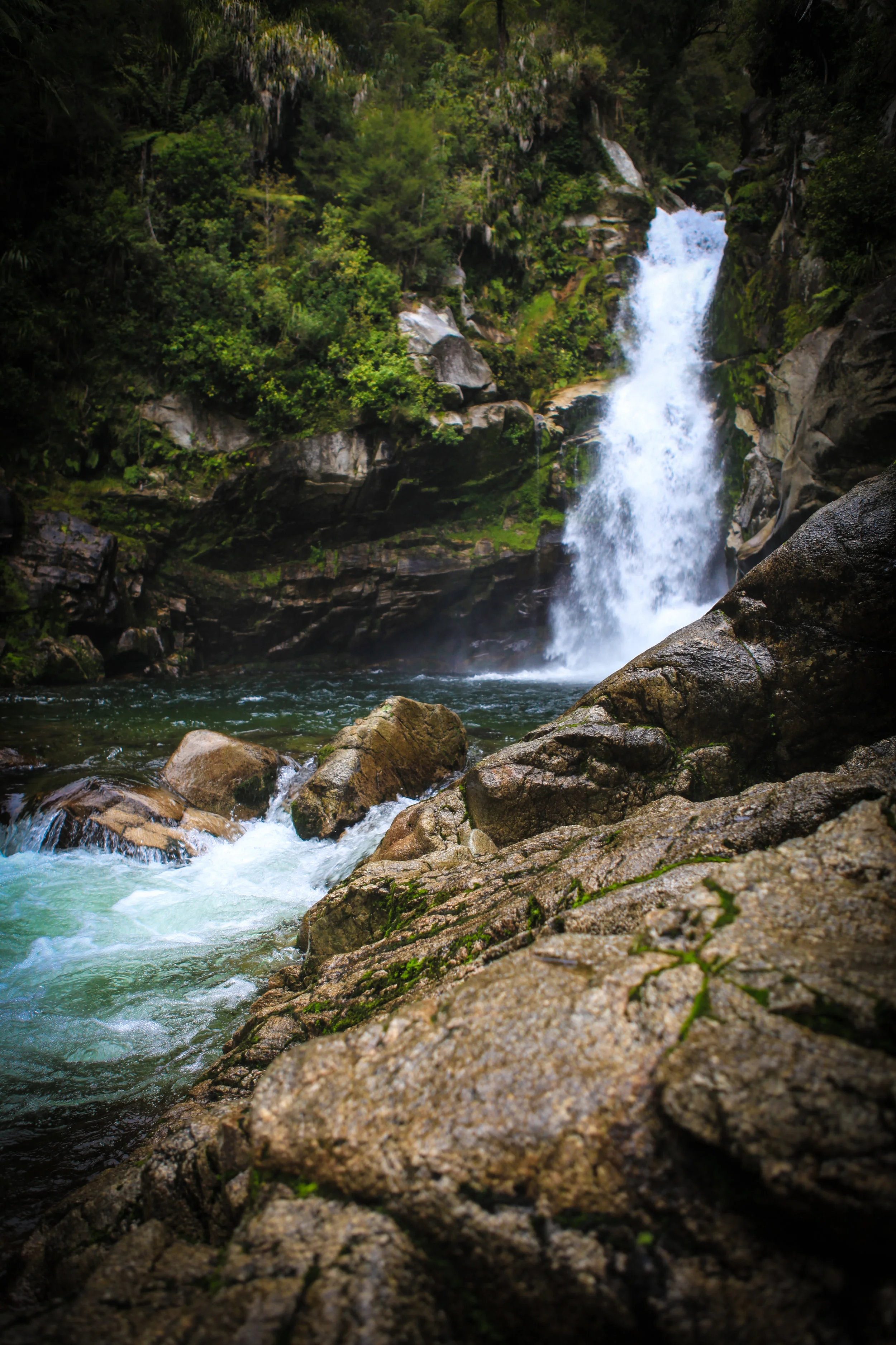NewZealand_web-91.jpg