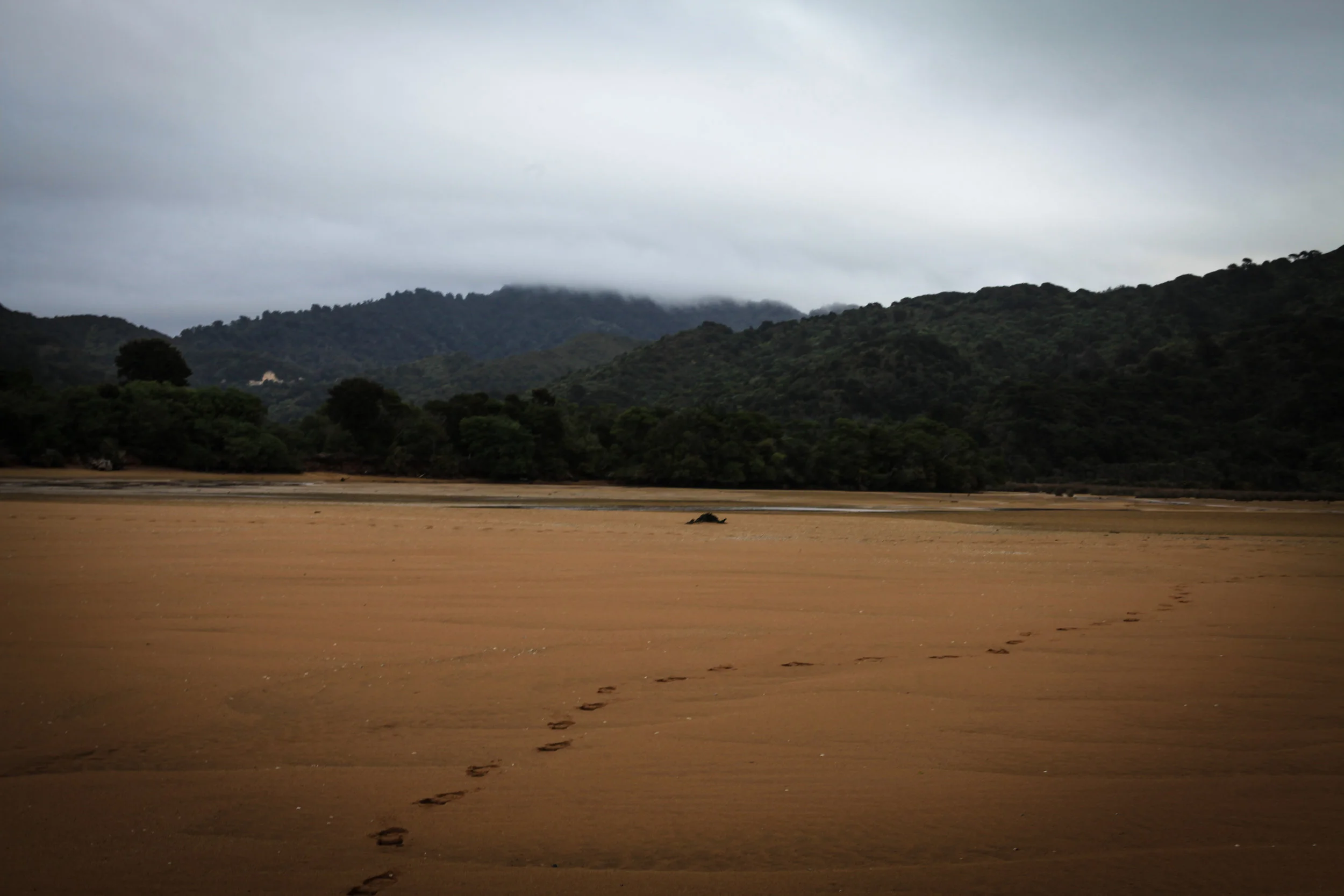 NewZealand_web-94.jpg