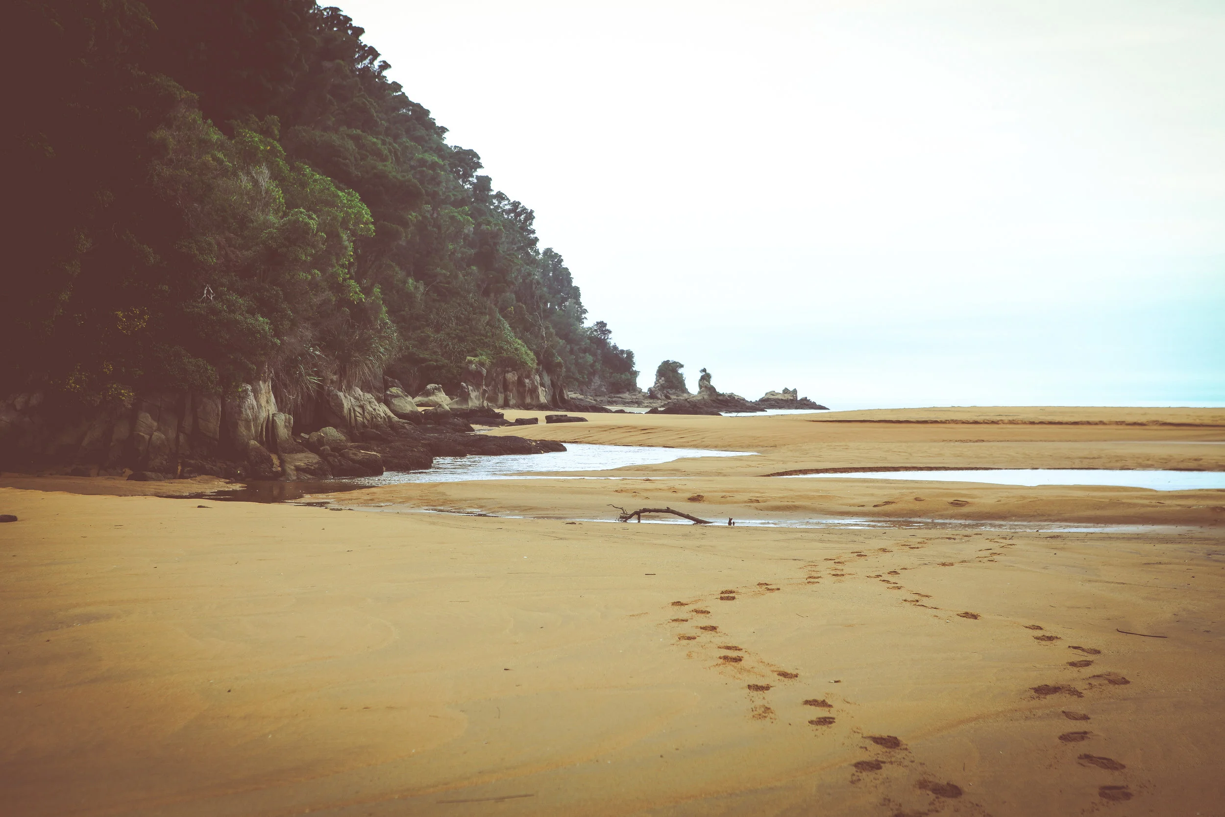 NewZealand_web-92.jpg