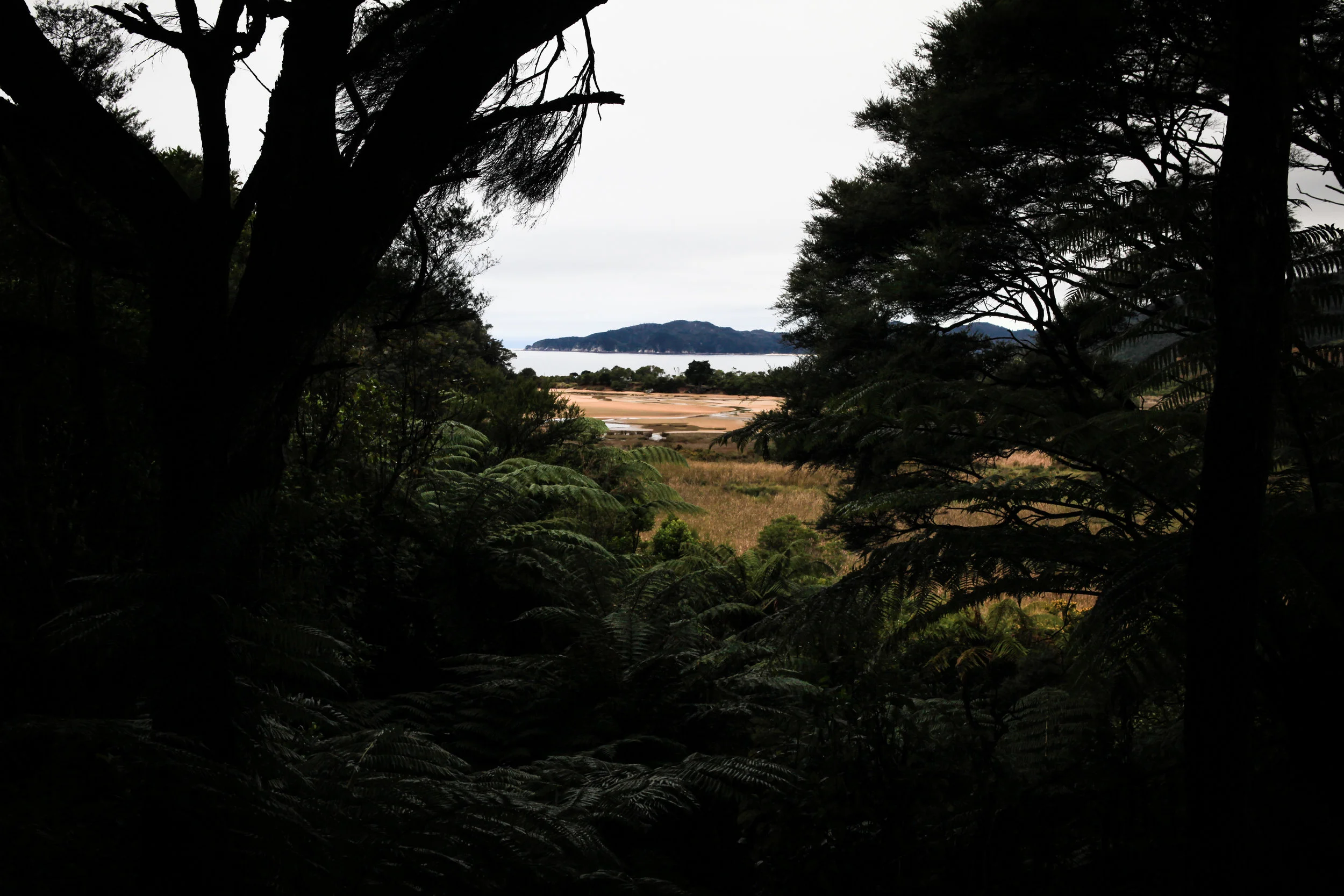 NewZealand_web-95.jpg