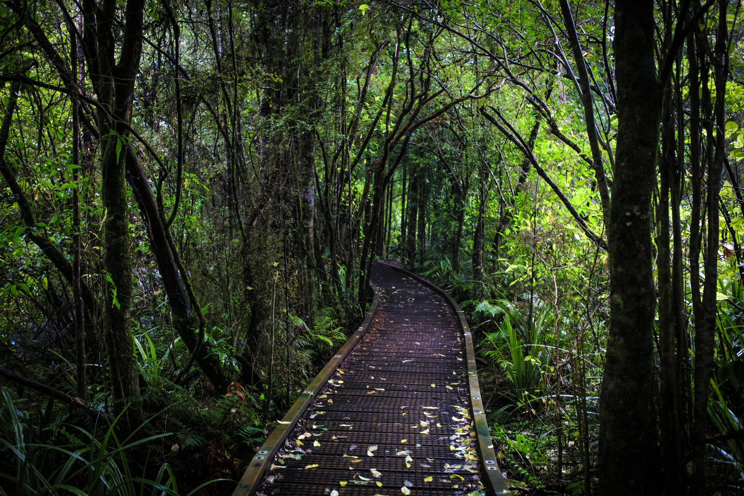 NewZealand_web-97.jpg