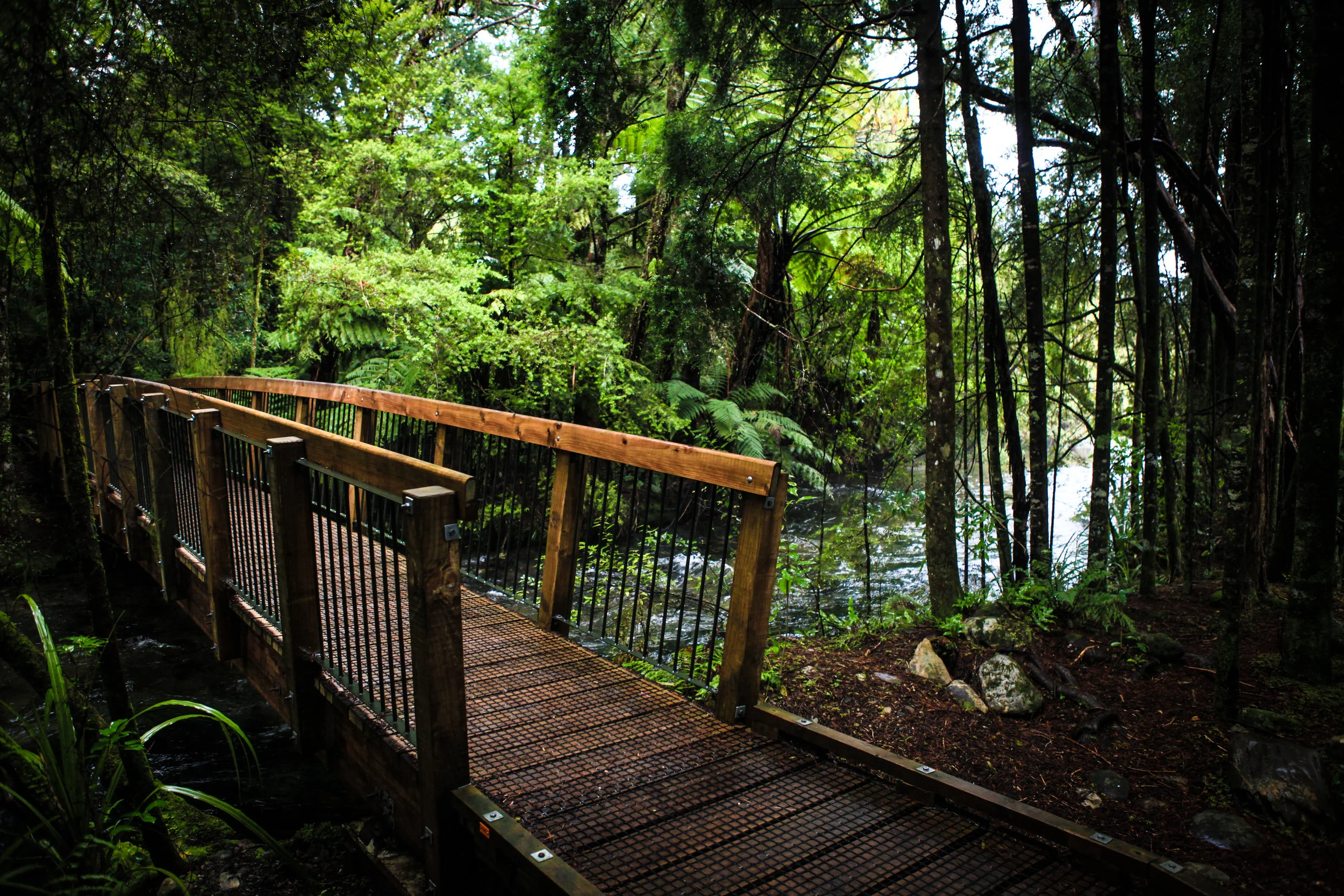 NewZealand_web-98.jpg