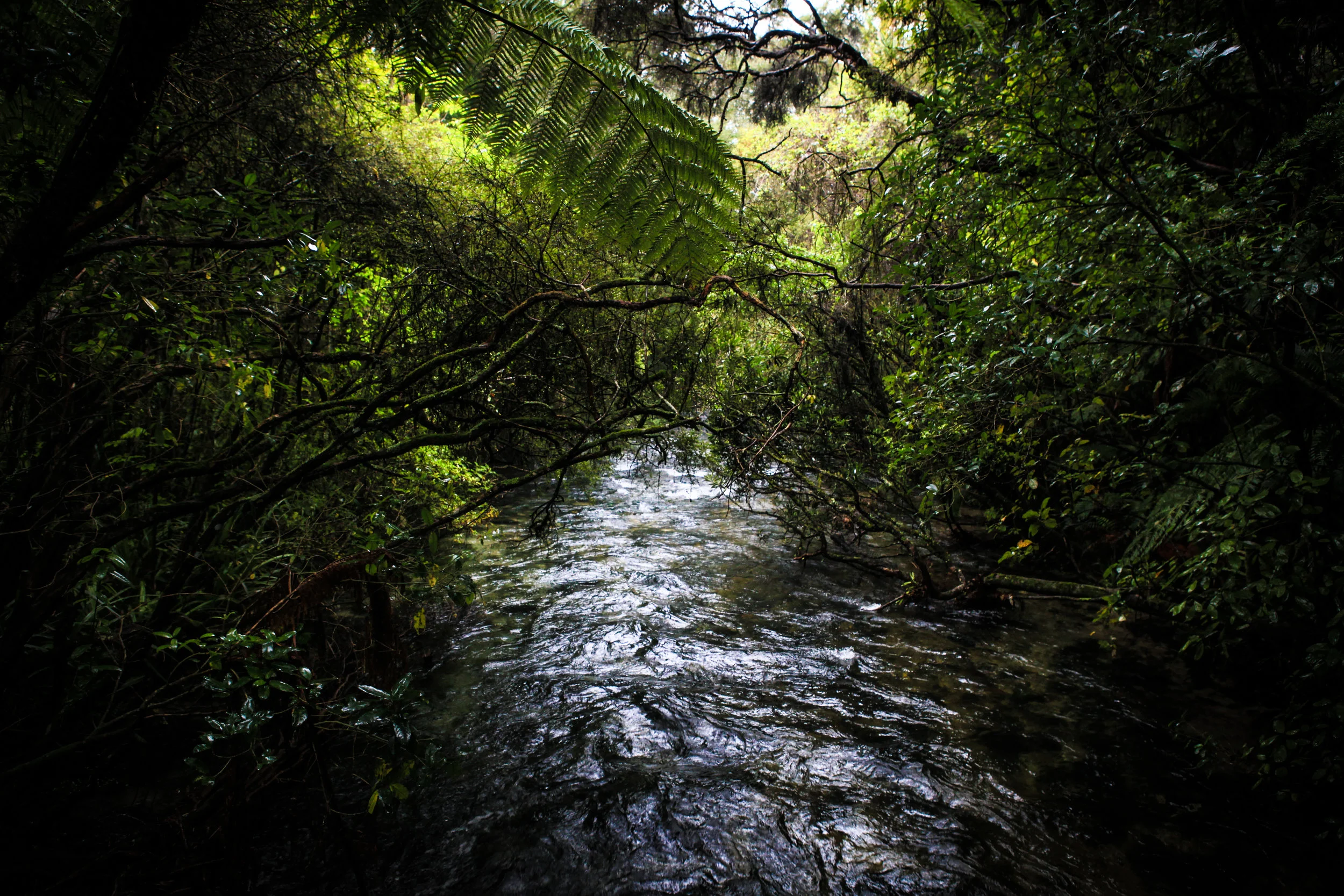 NewZealand_web-101.jpg