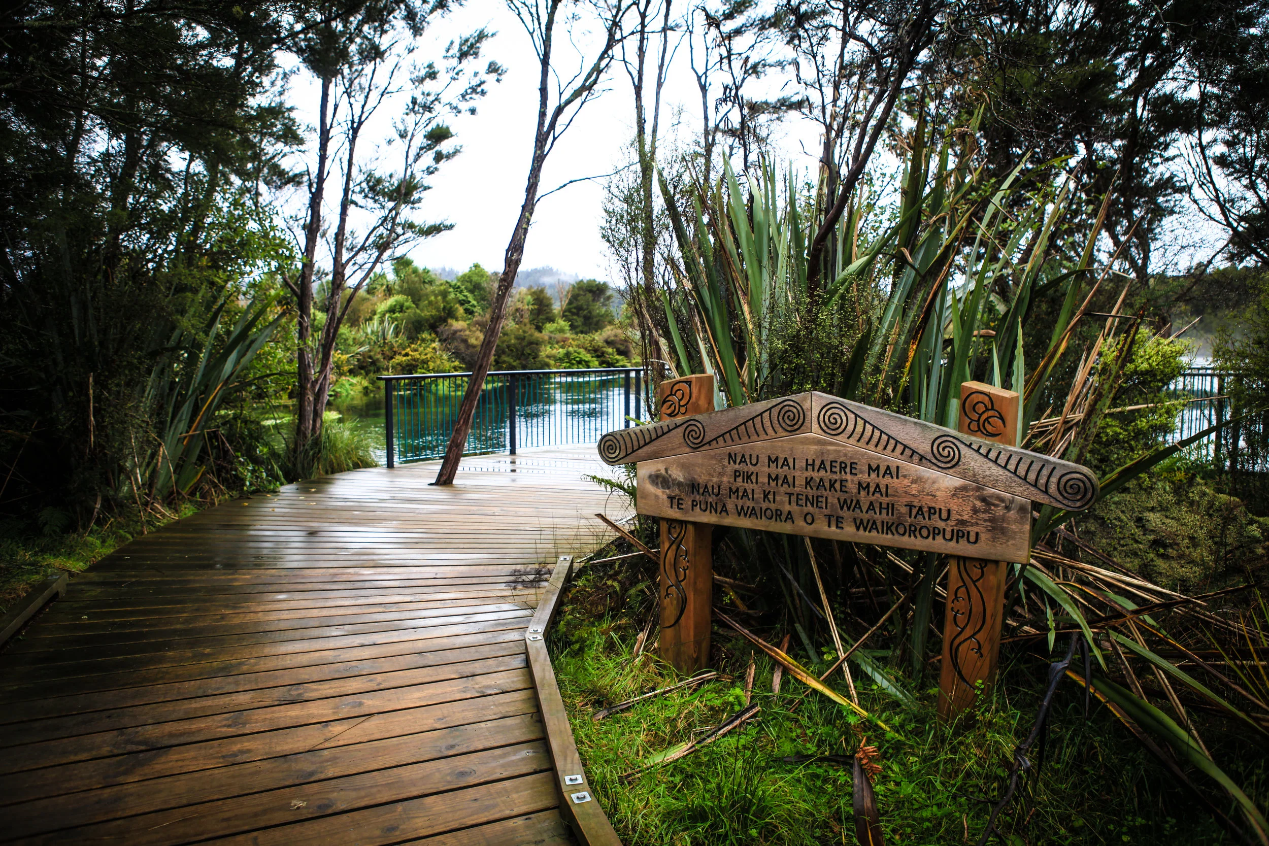 NewZealand_web-105.jpg