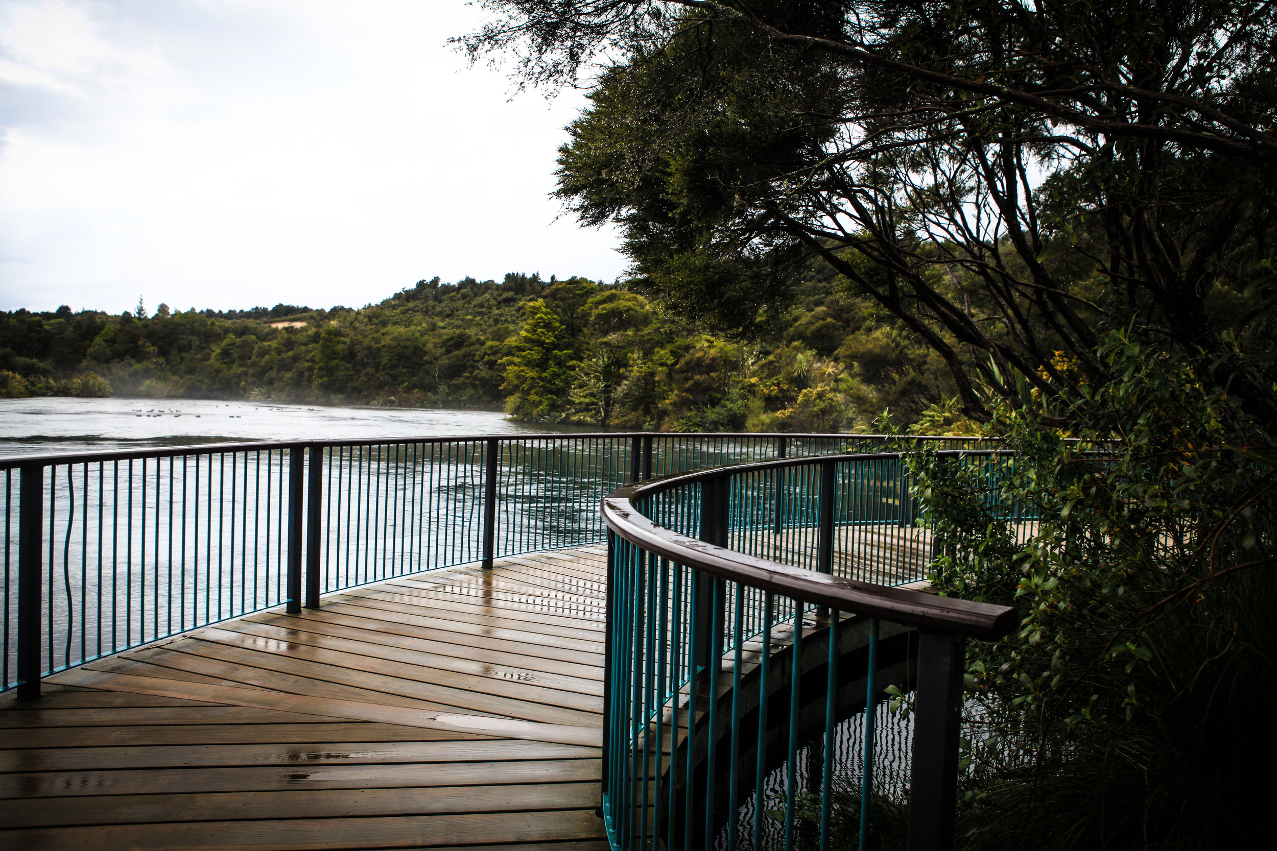 NewZealand_web-107.jpg
