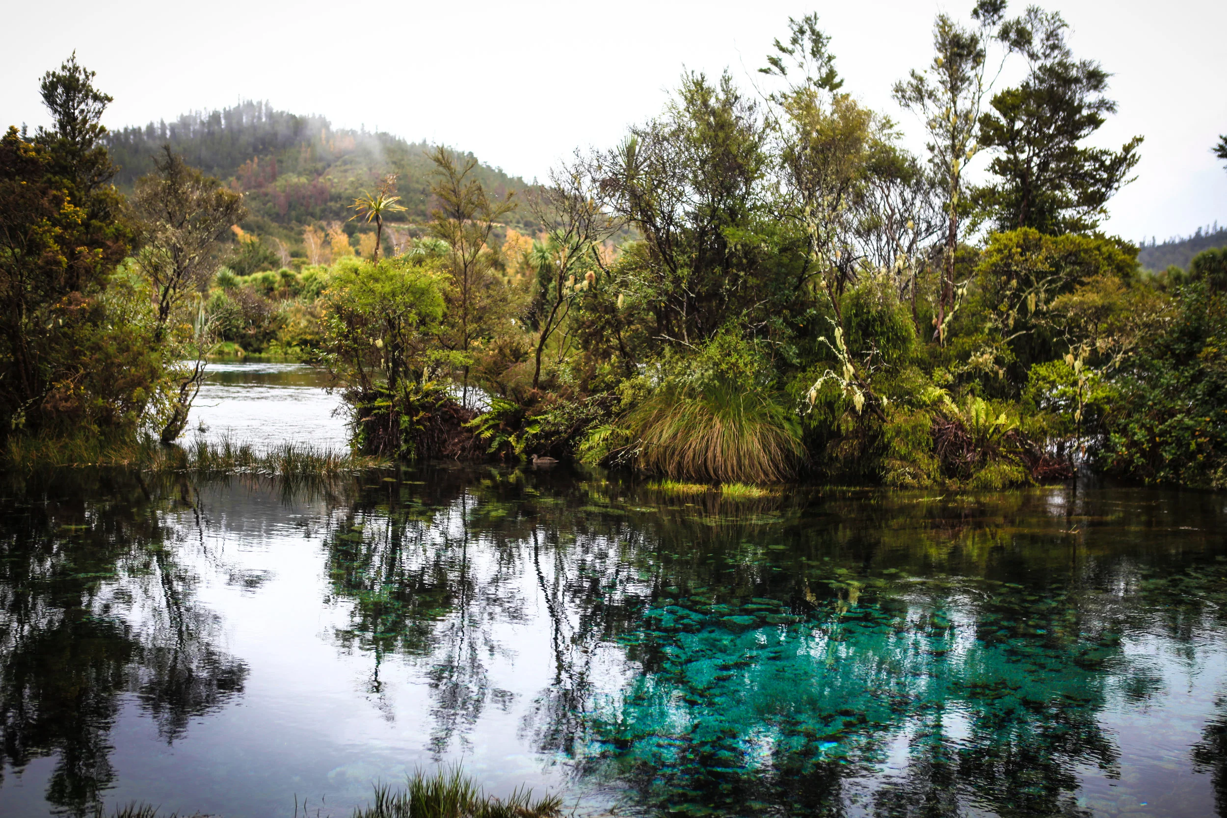 NewZealand_web-108.jpg