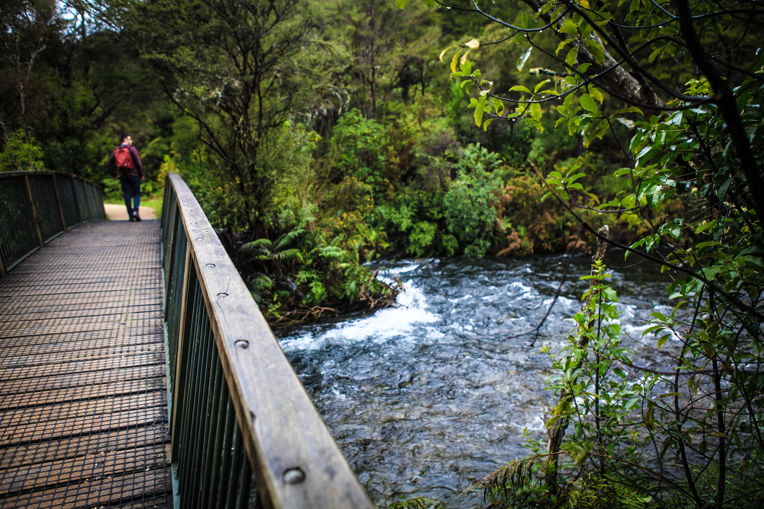 NewZealand_web-109.jpg