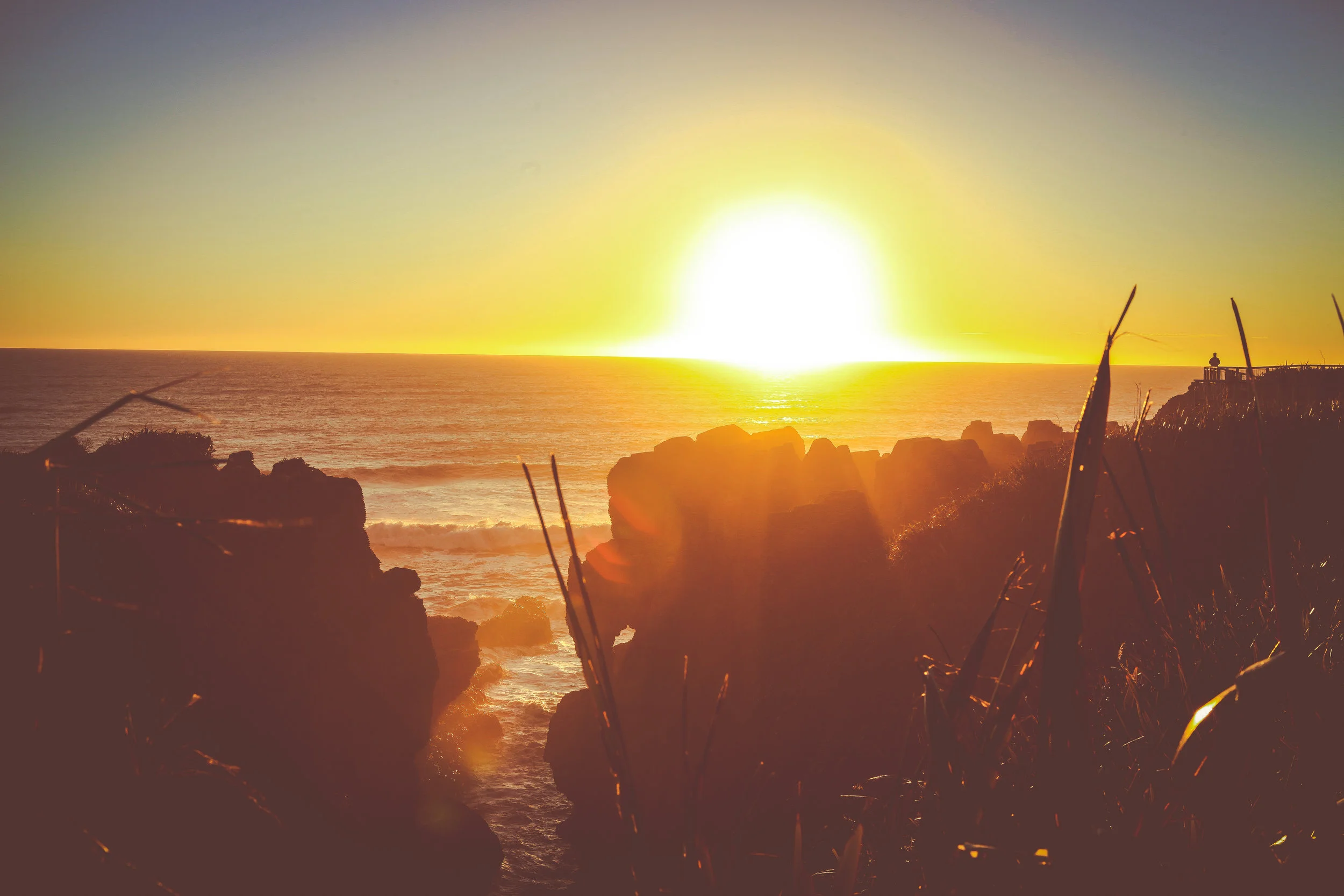 NewZealand_web-153.jpg