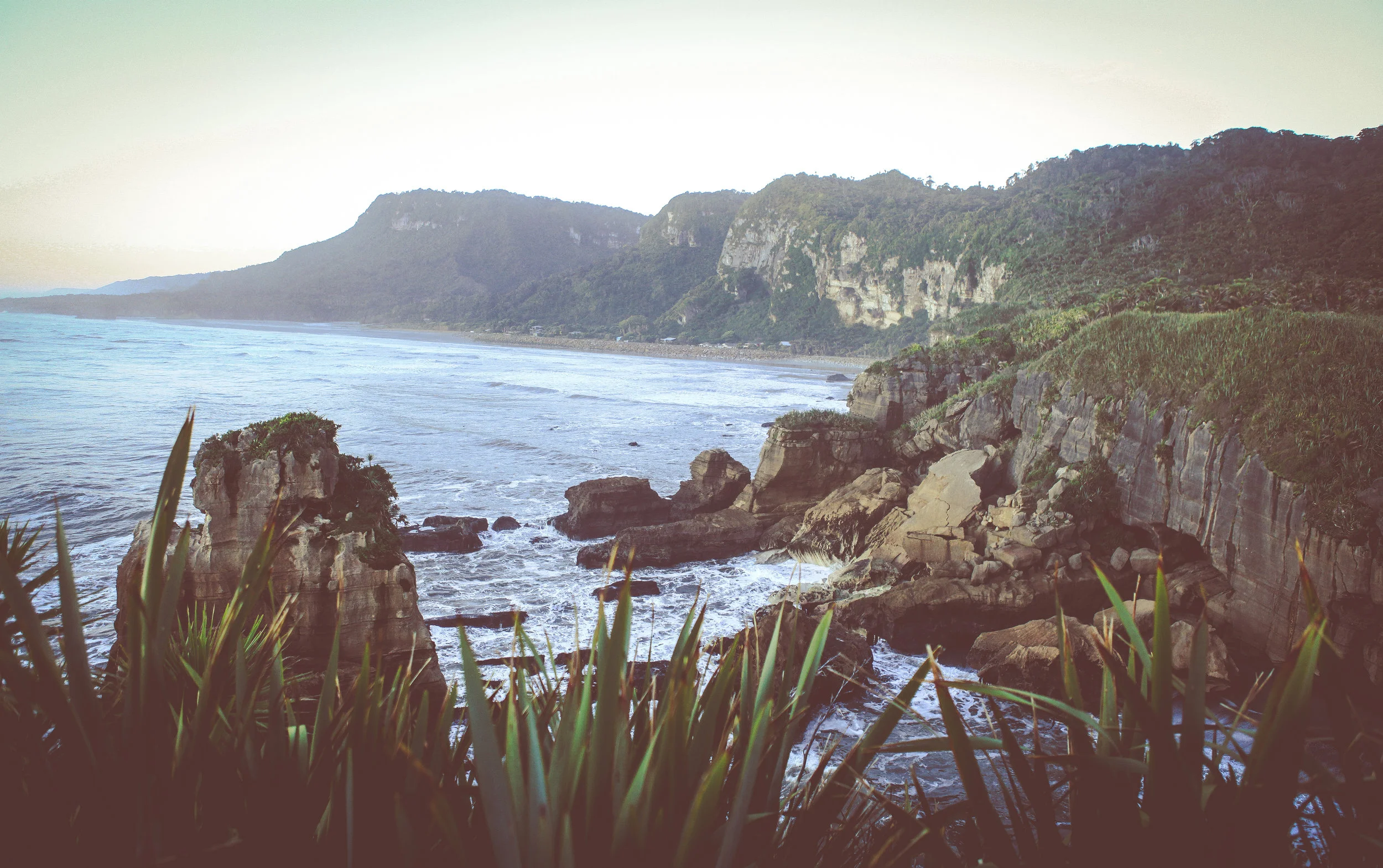 NewZealand_web-168.jpg