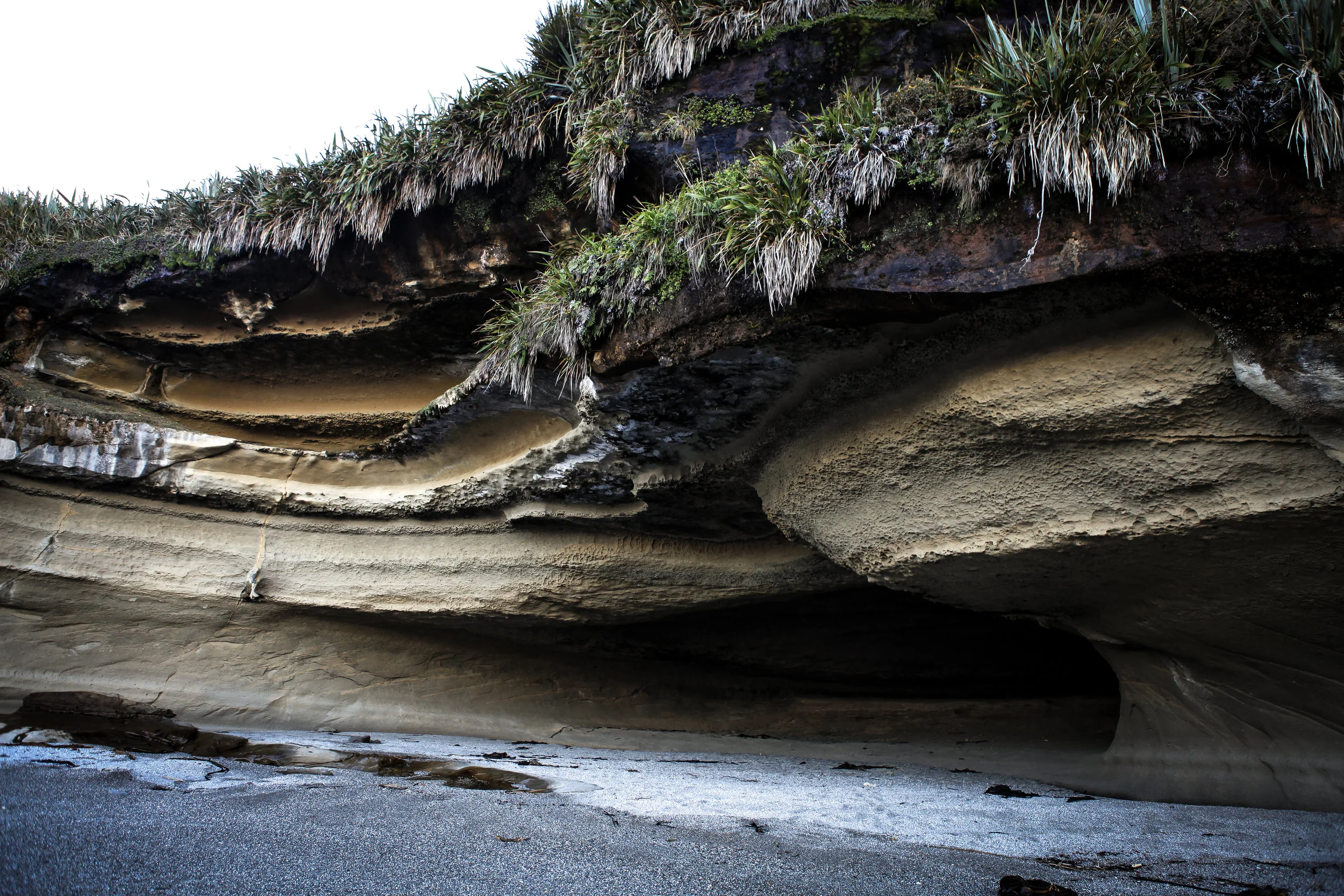 NewZealand_web-183.jpg