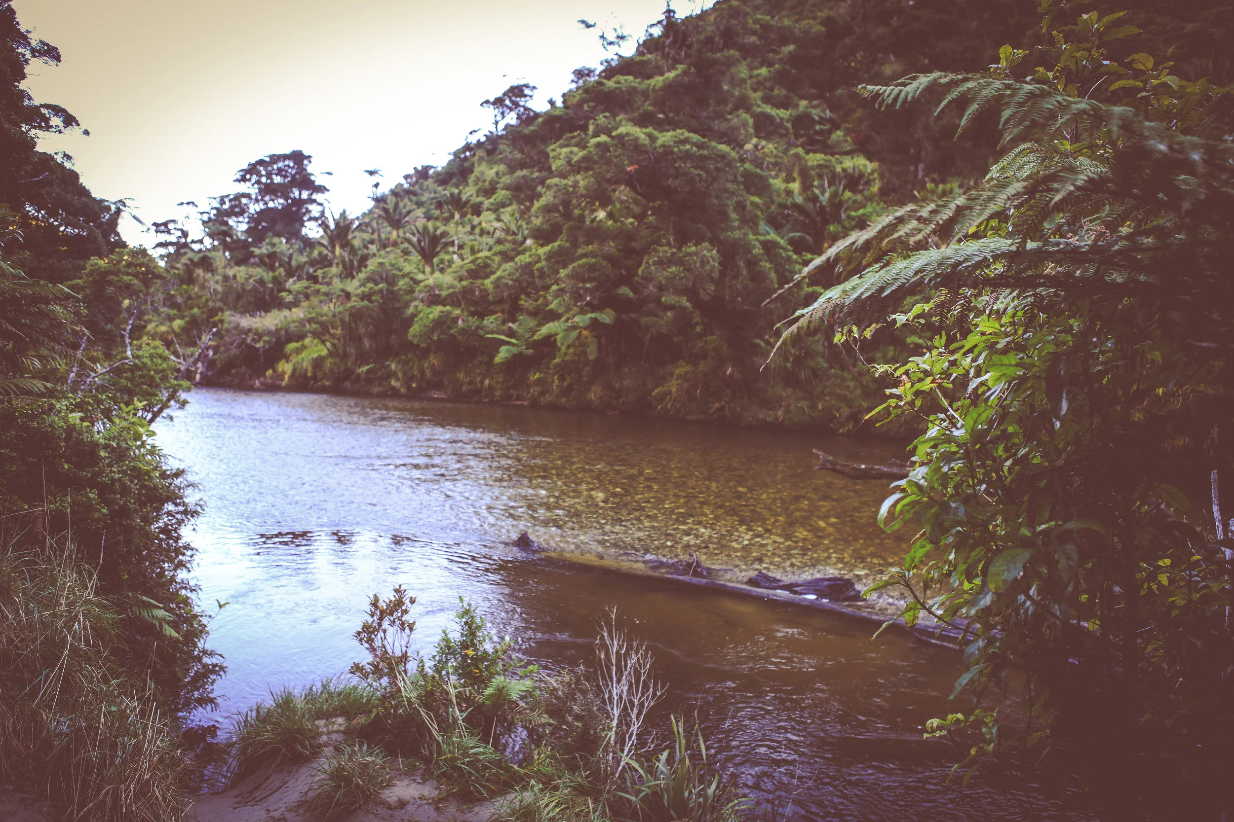 NewZealand_web-185.jpg