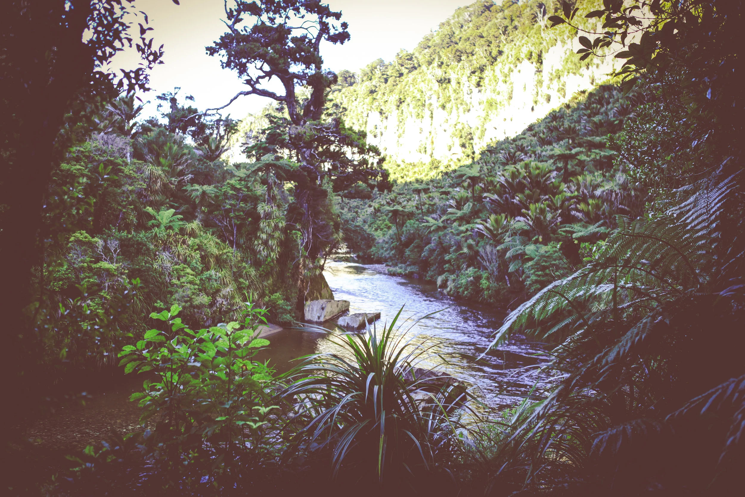 NewZealand_web-186.jpg