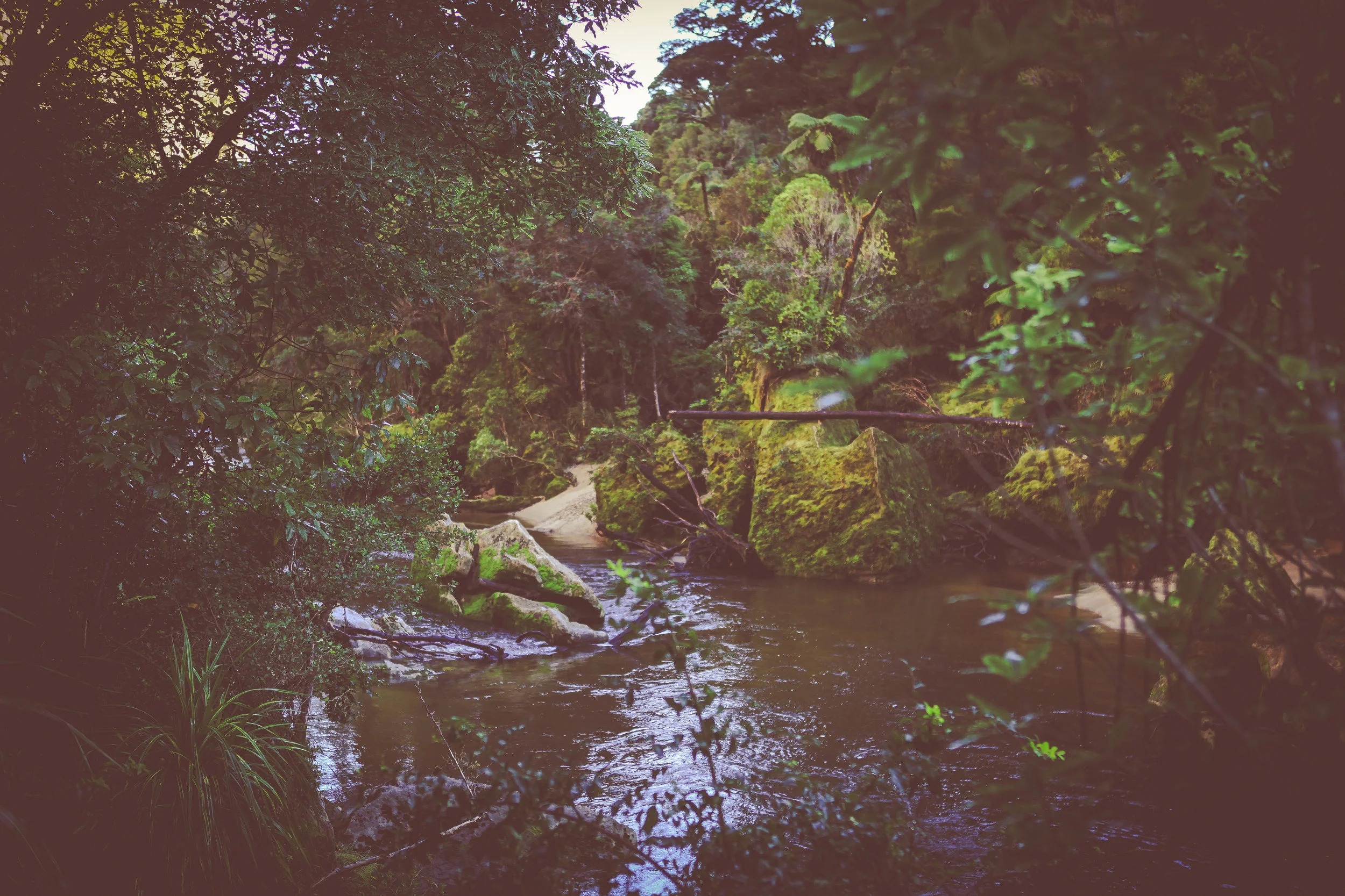 NewZealand_web-189.jpg