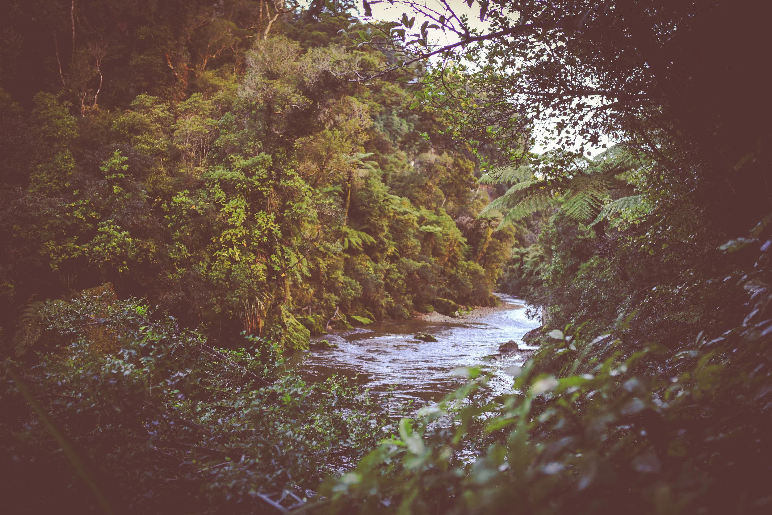 NewZealand_web-187.jpg