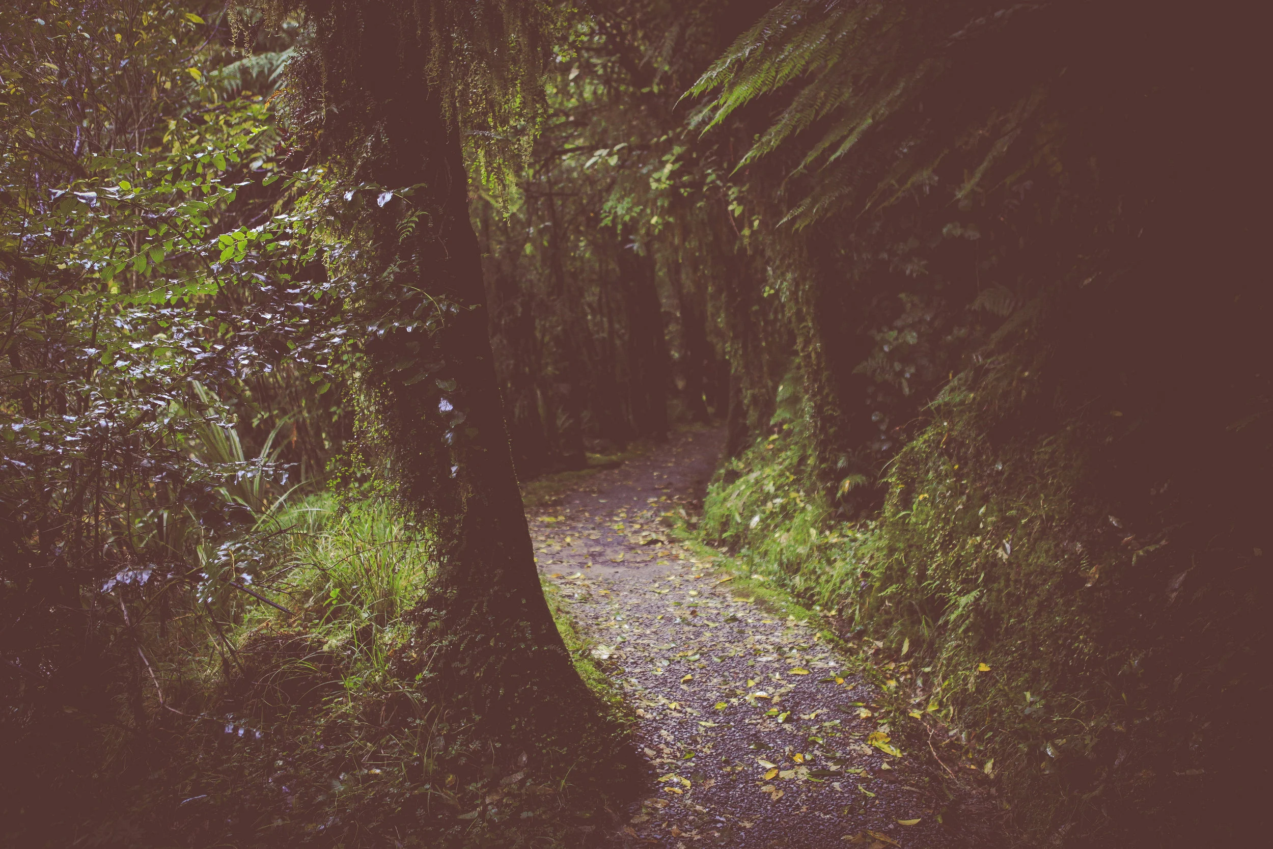 NewZealand_web-190.jpg