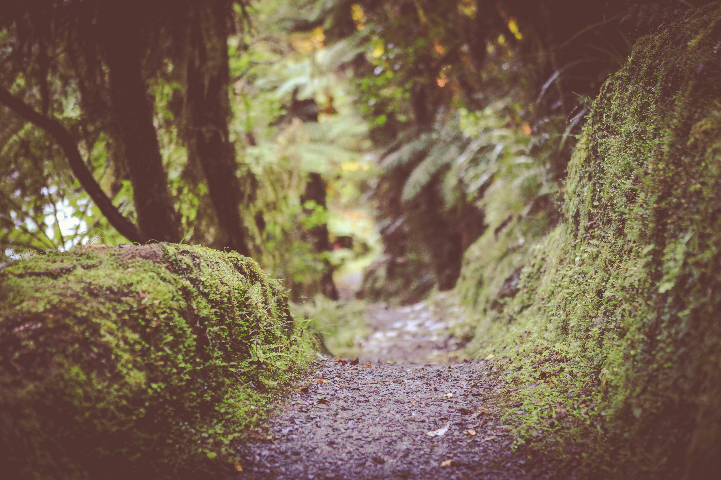 NewZealand_web-200.jpg