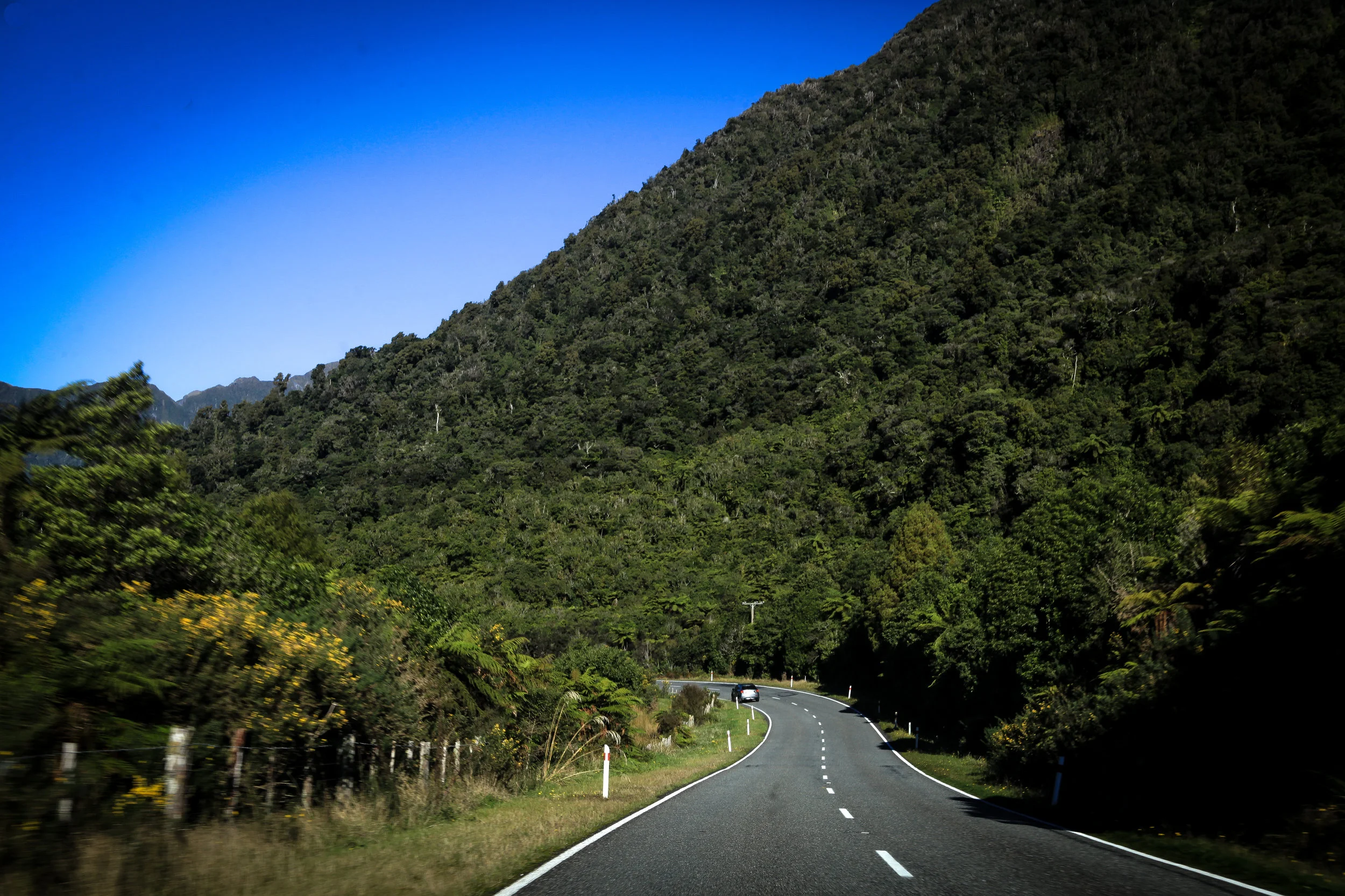 NewZealand_web-233.jpg