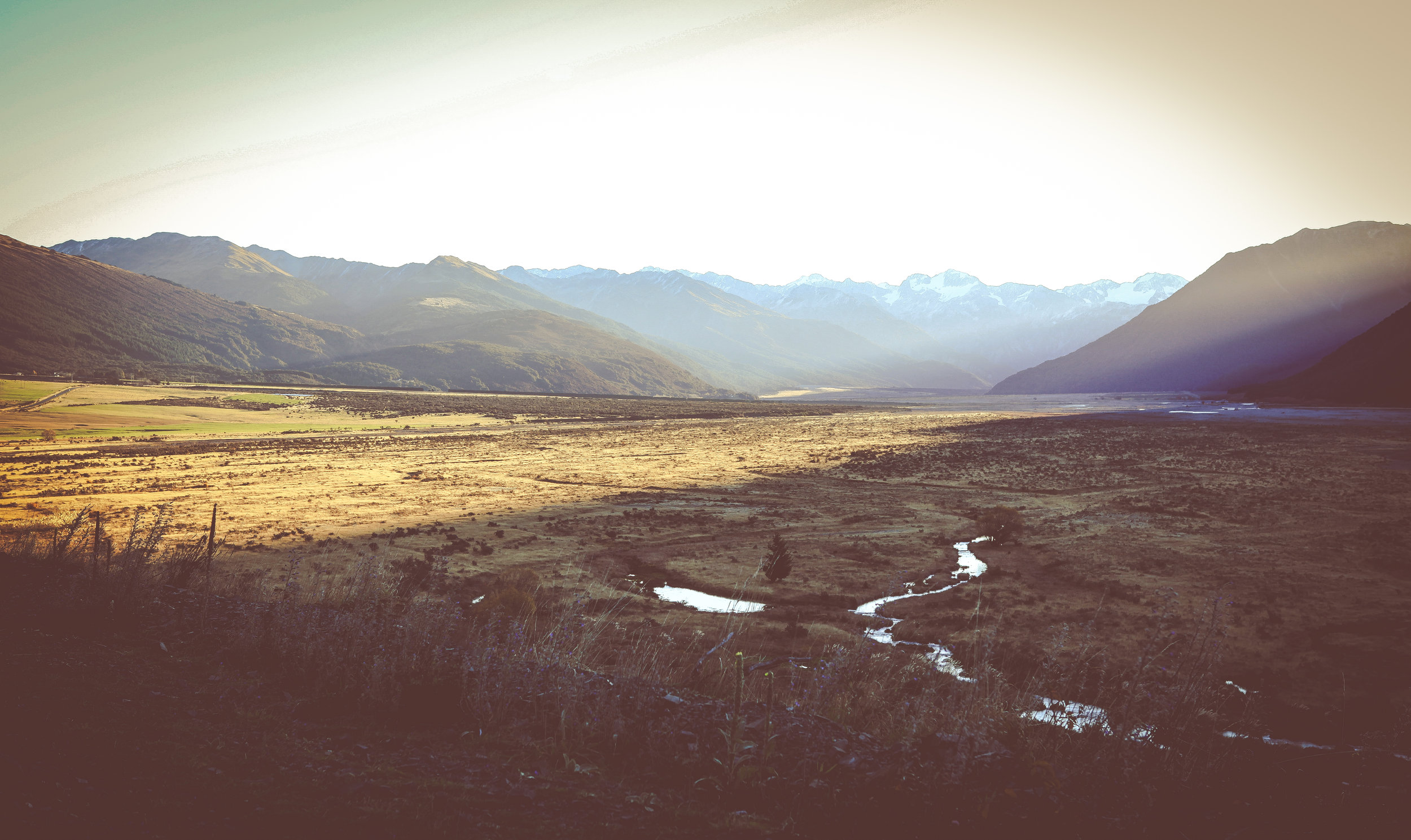 NewZealand_web-254.jpg