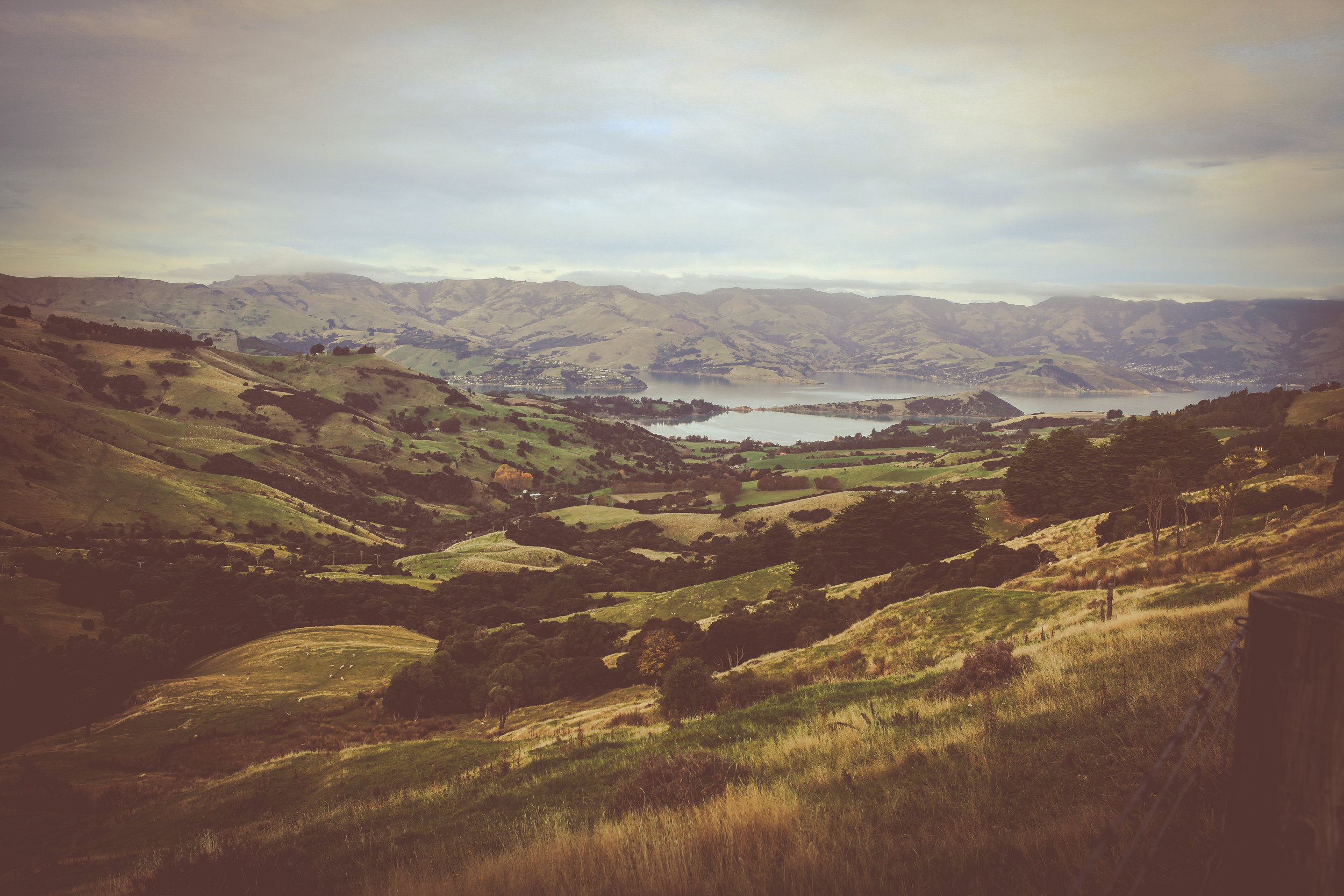 NewZealand_web-317.jpg
