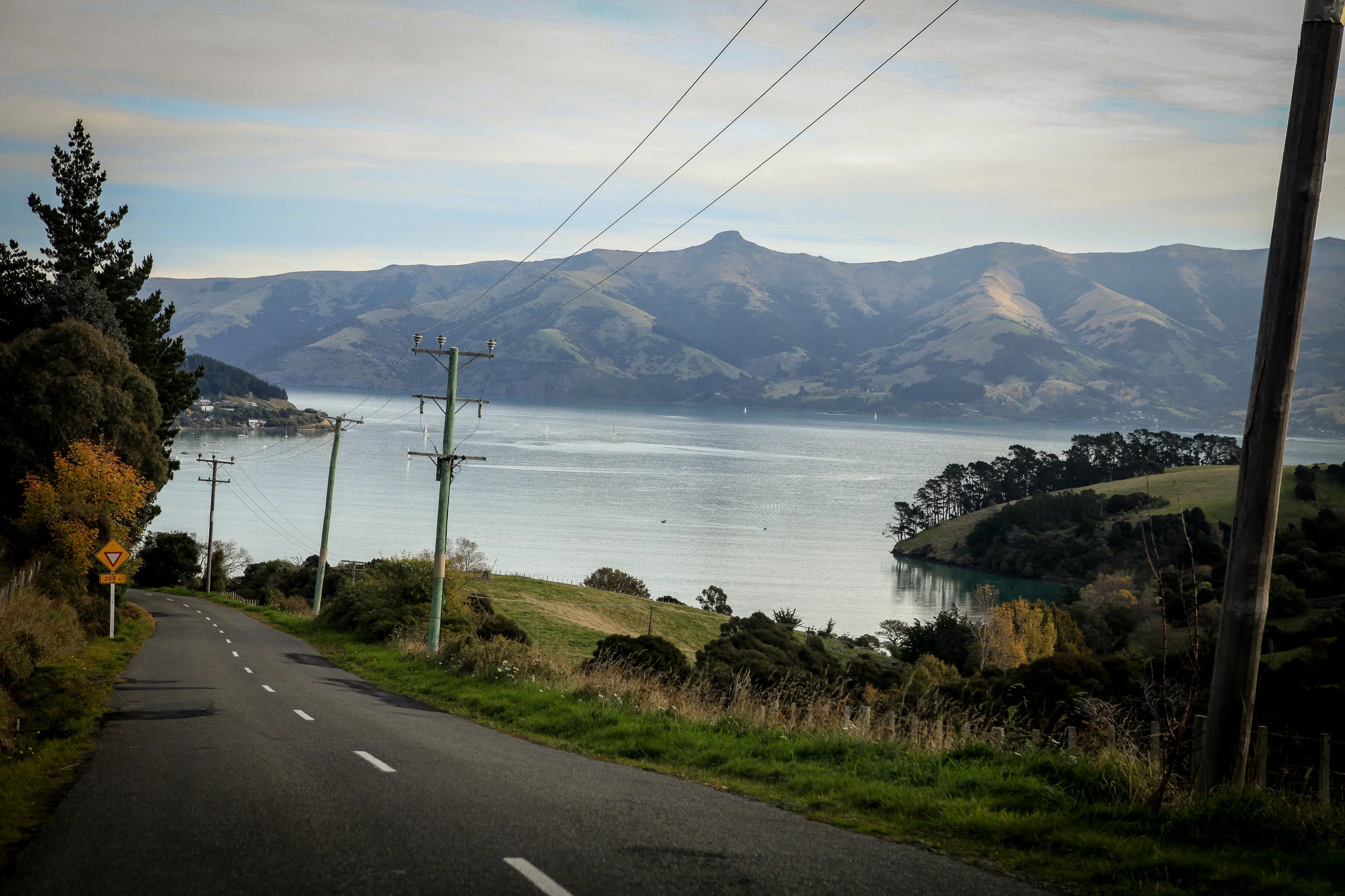NewZealand_web-319.jpg