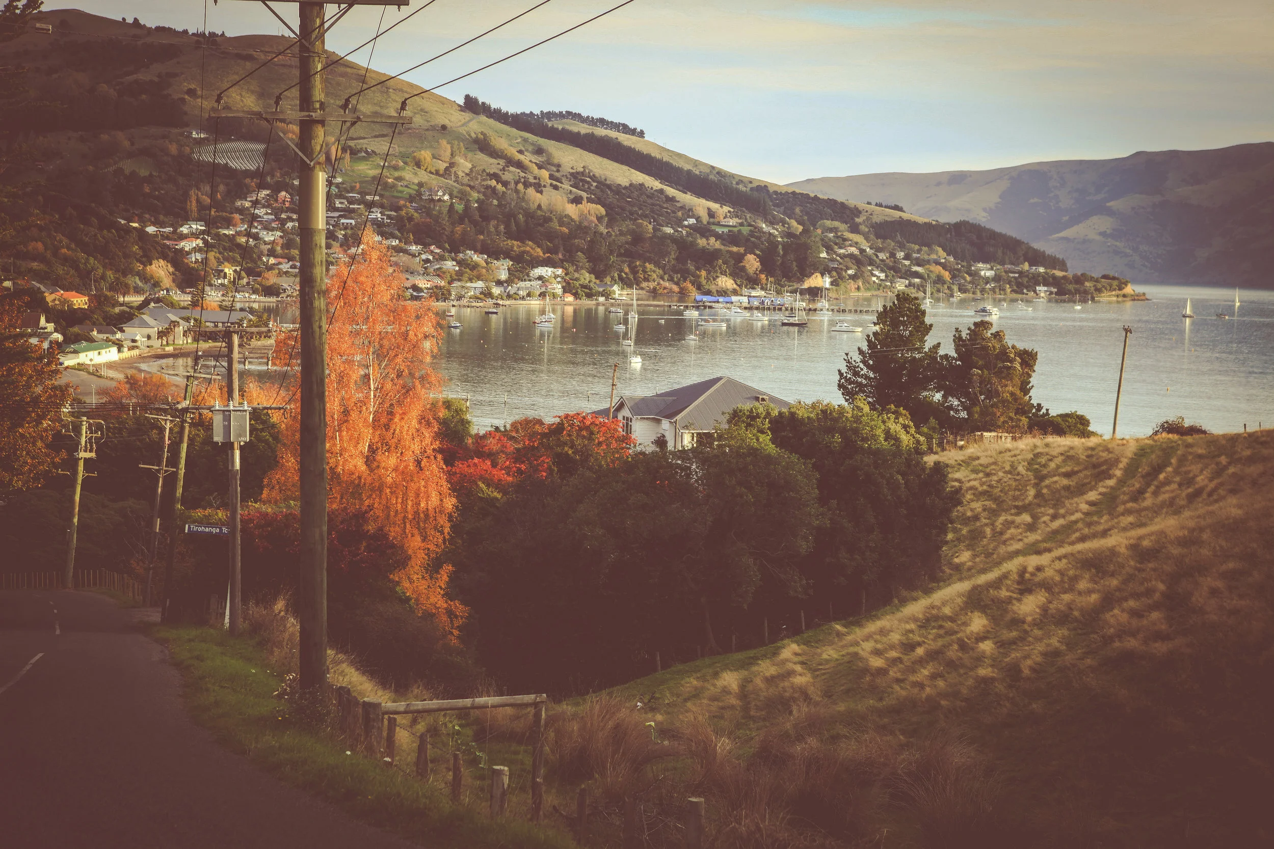 NewZealand_web-320.jpg