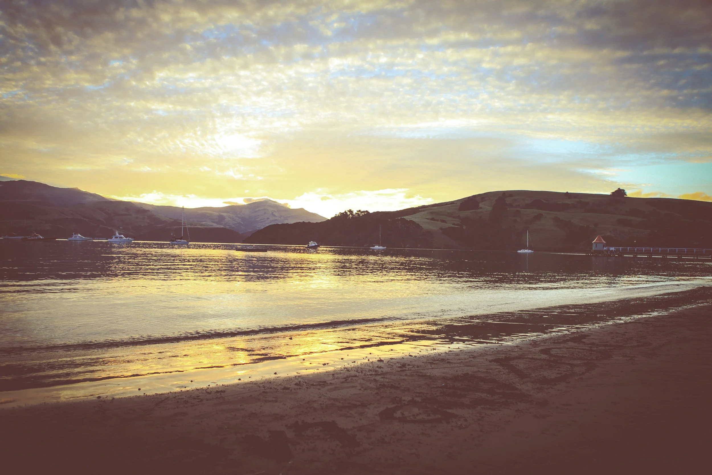 NewZealand_web-330 - Copy.jpg