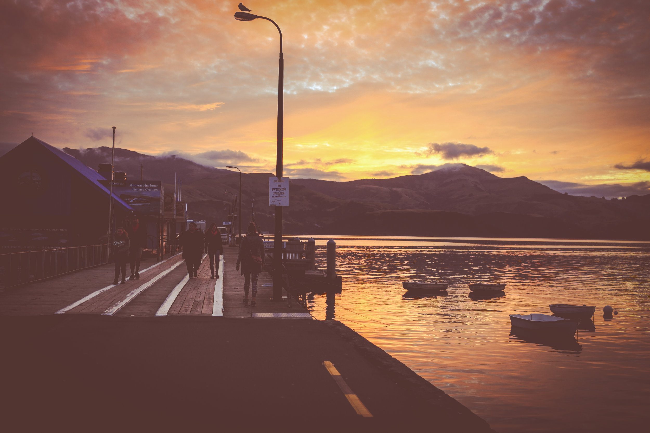 NewZealand_web-332.jpg