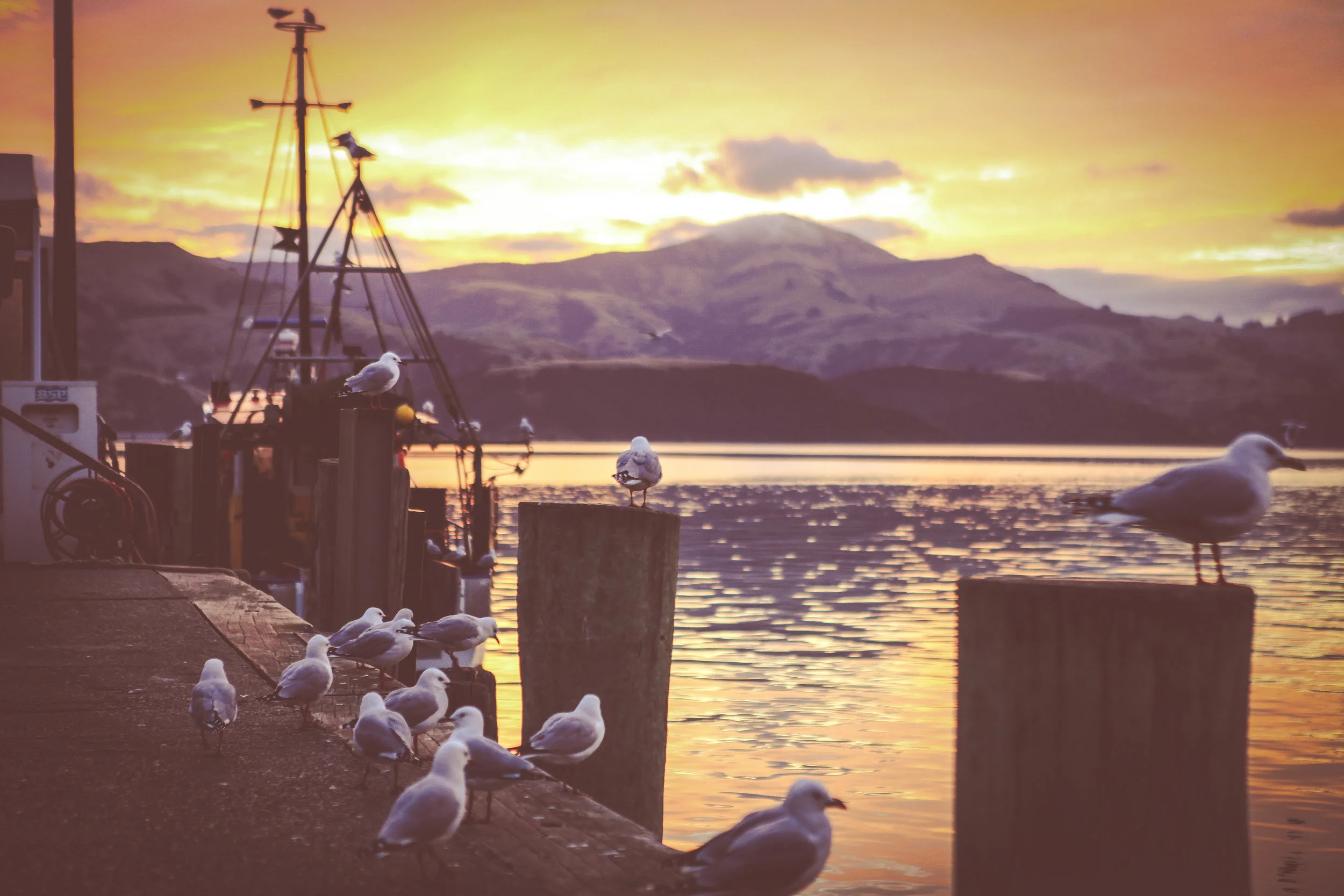 NewZealand_web-333.jpg