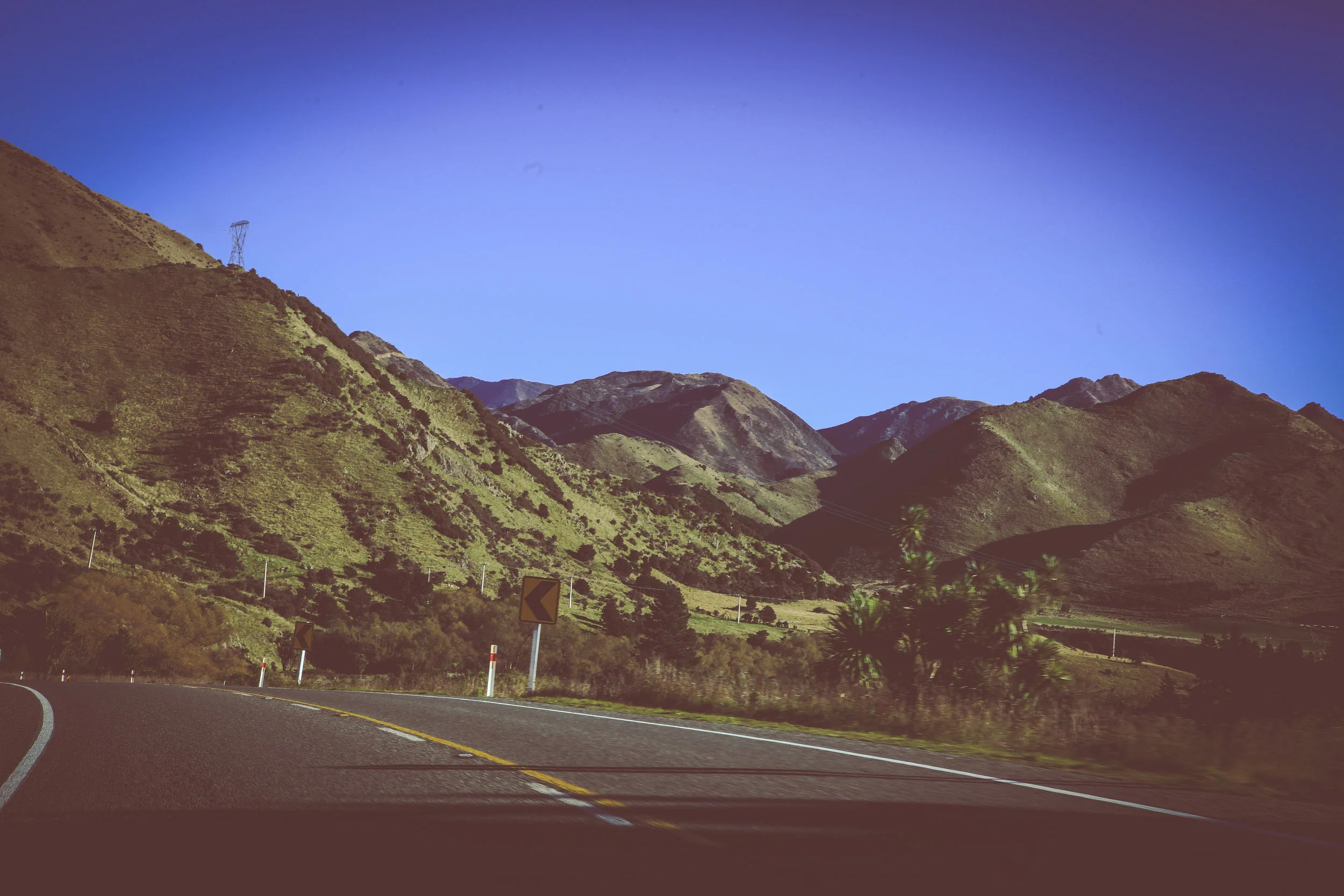 NewZealand_web-336.jpg