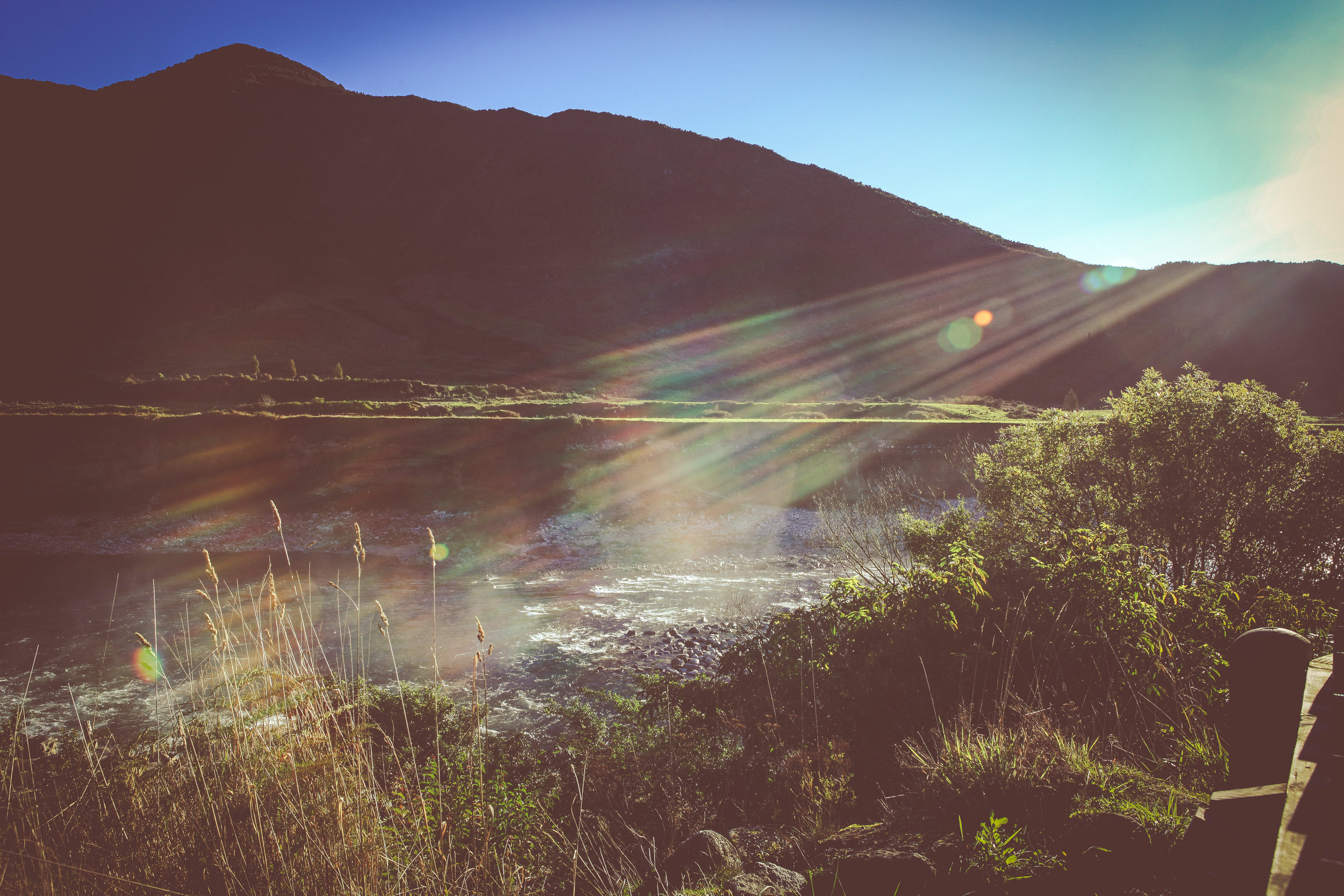 NewZealand_web-347.jpg