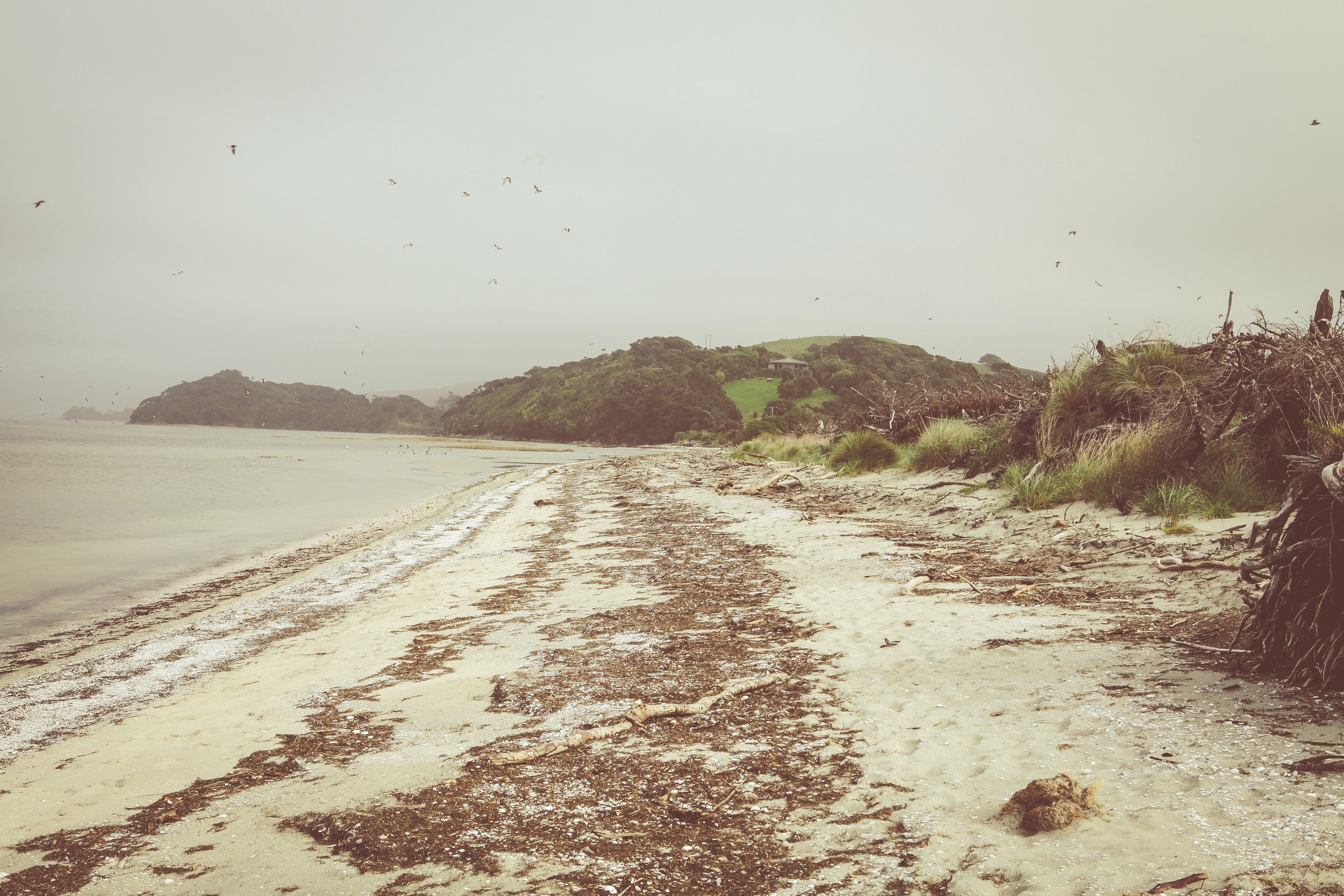 NewZealand_web-363.jpg
