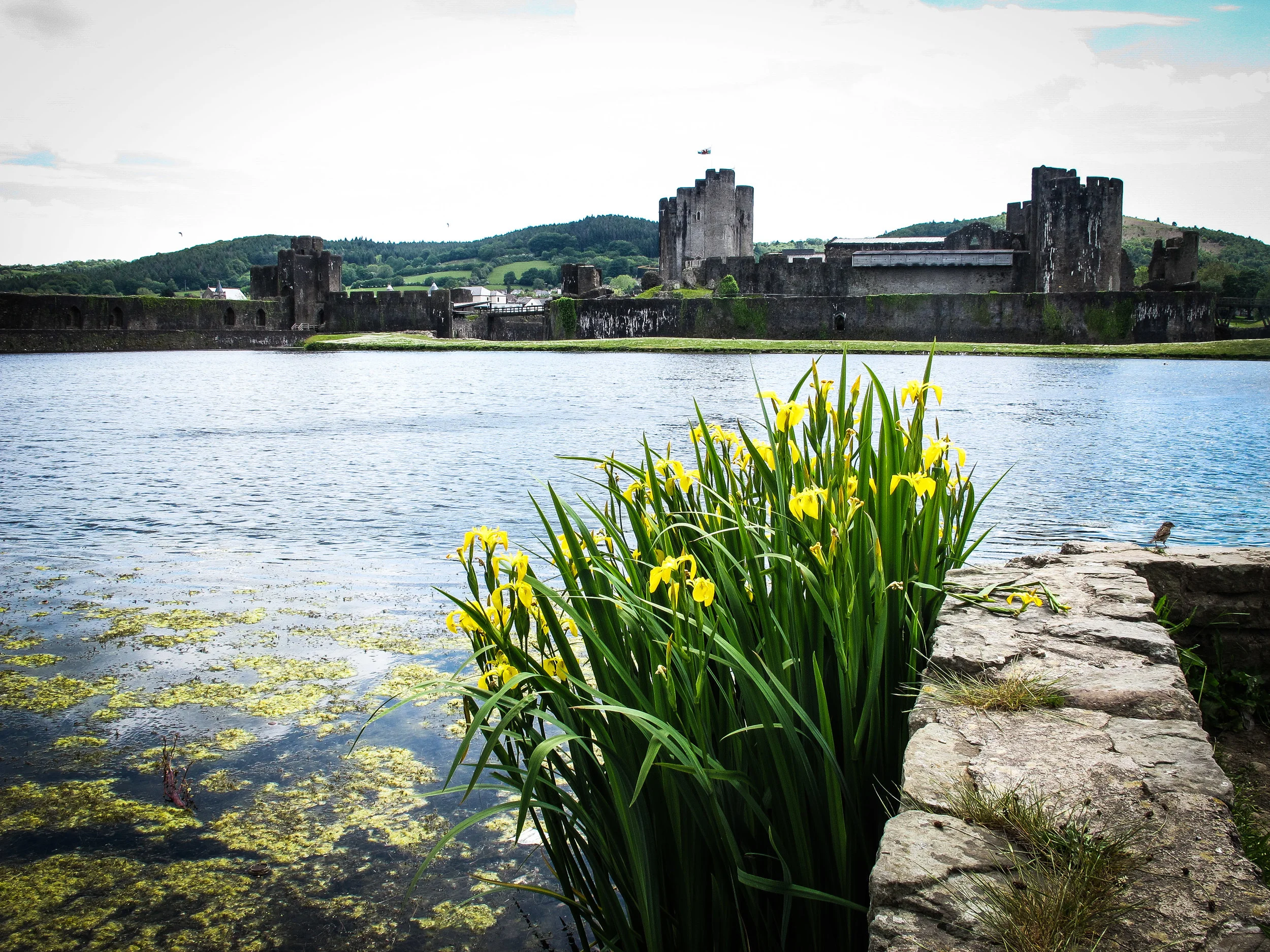 Wales_Low Res-58.jpg